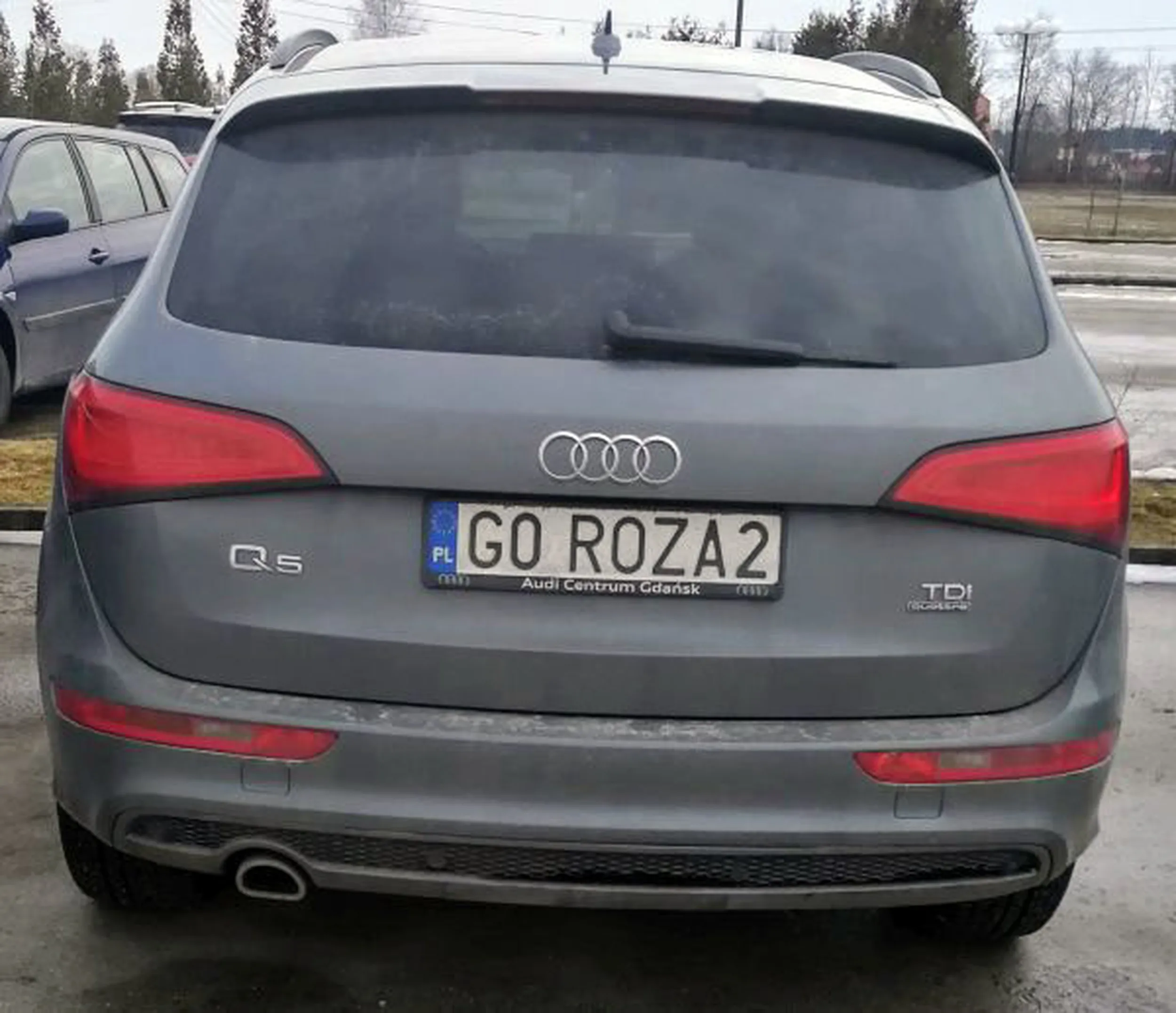 Fajny numer, blacha G0 ROZA2