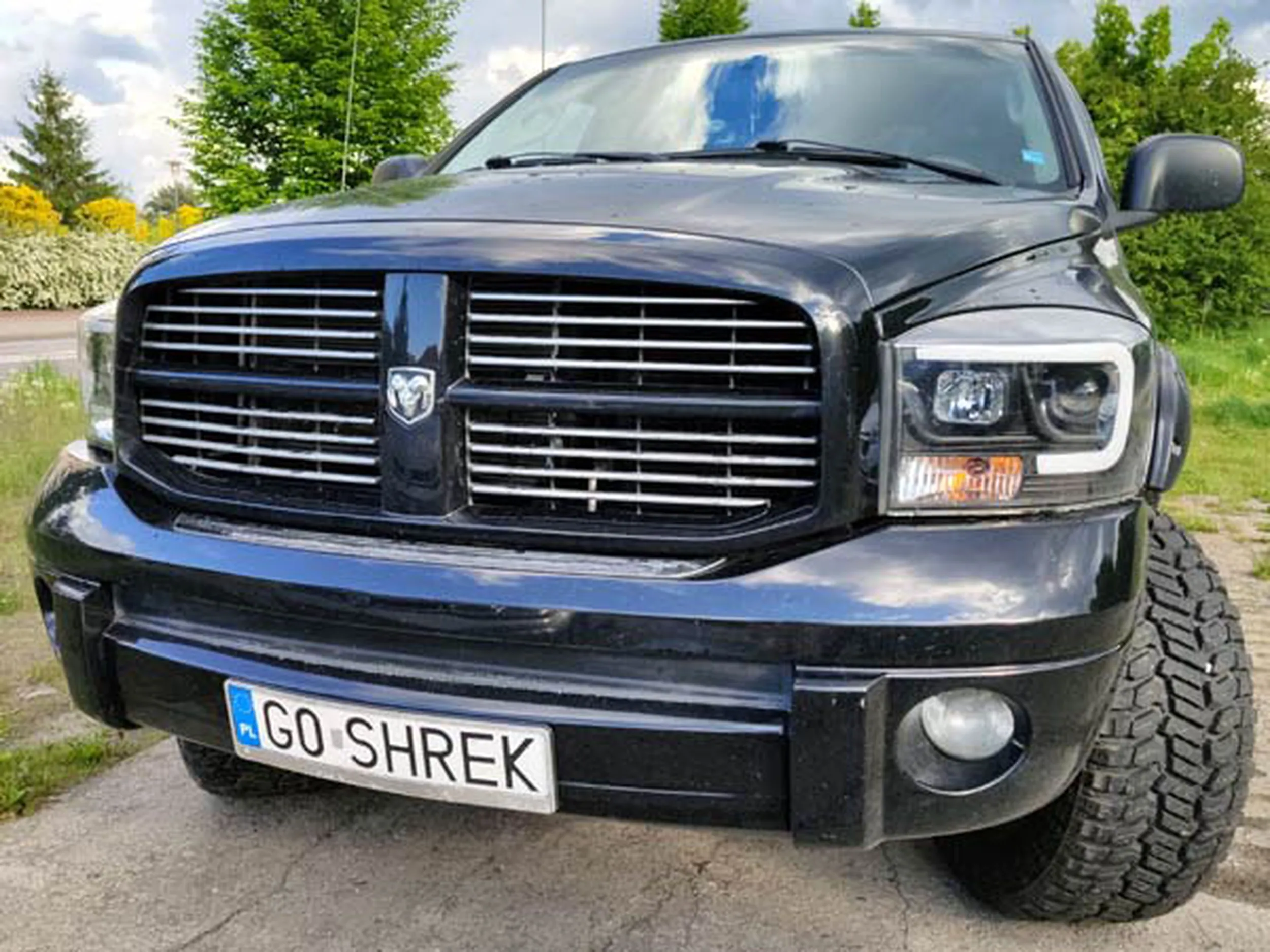 Fajny numer, blacha G0 SHREK