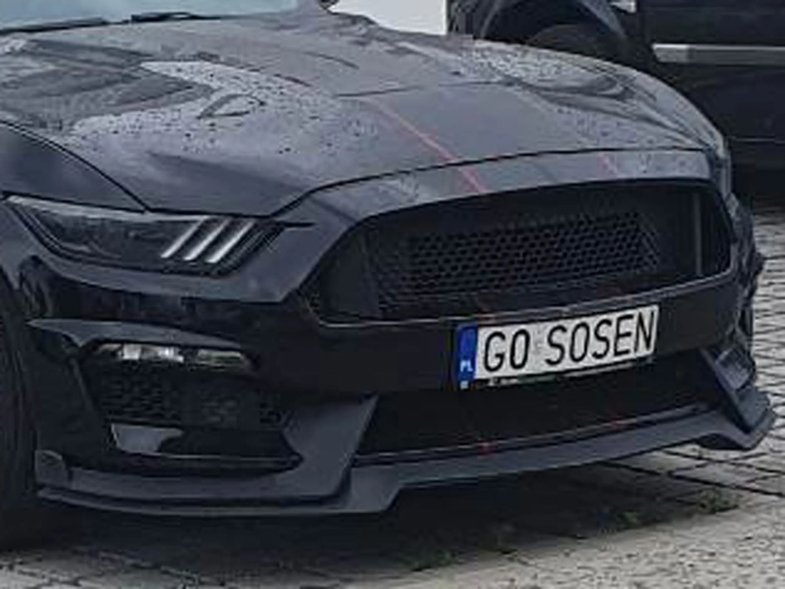 Fajny numer, blacha G0 SOSEN