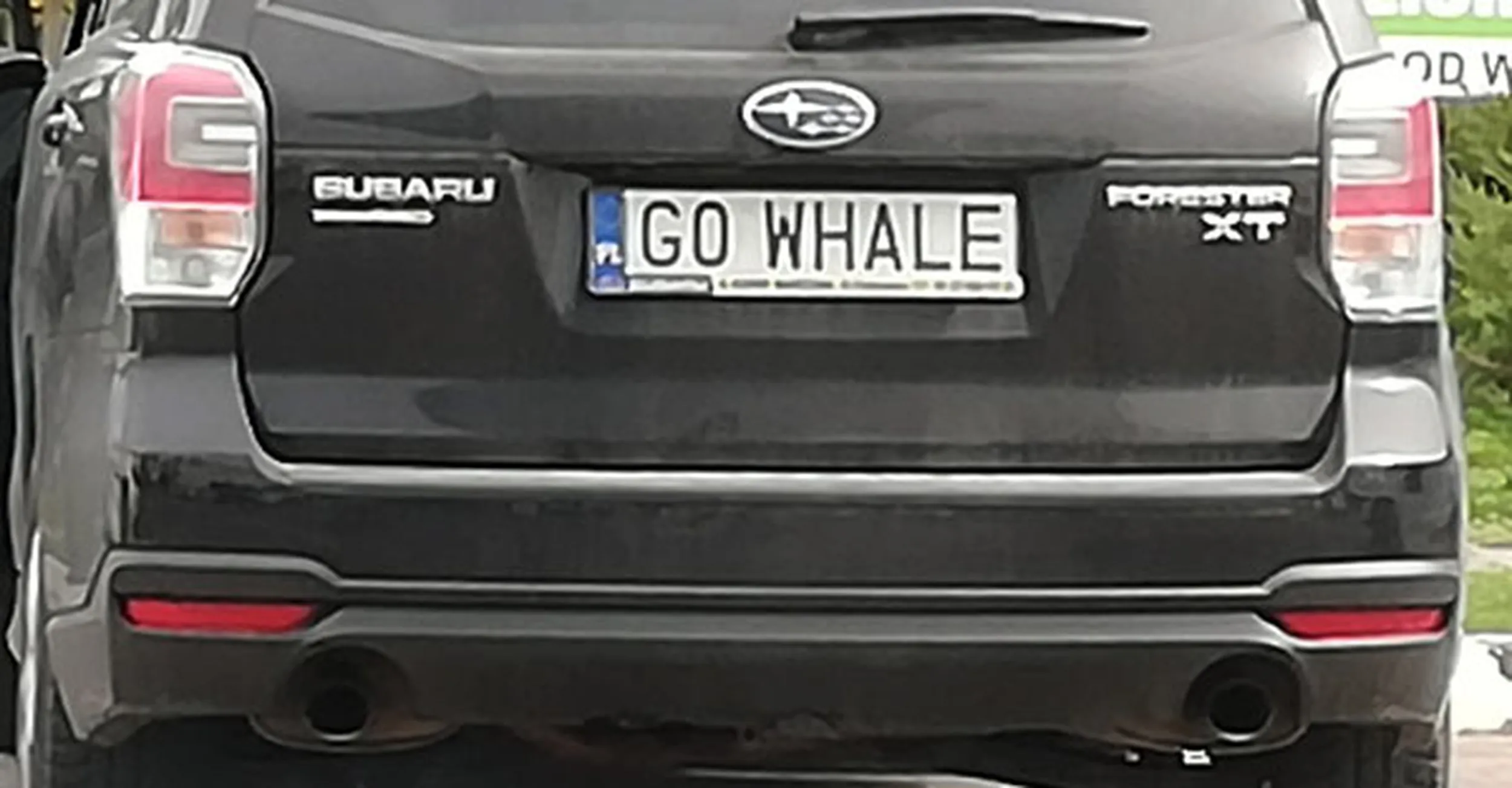 Fajny numer, blacha G0 WHALE