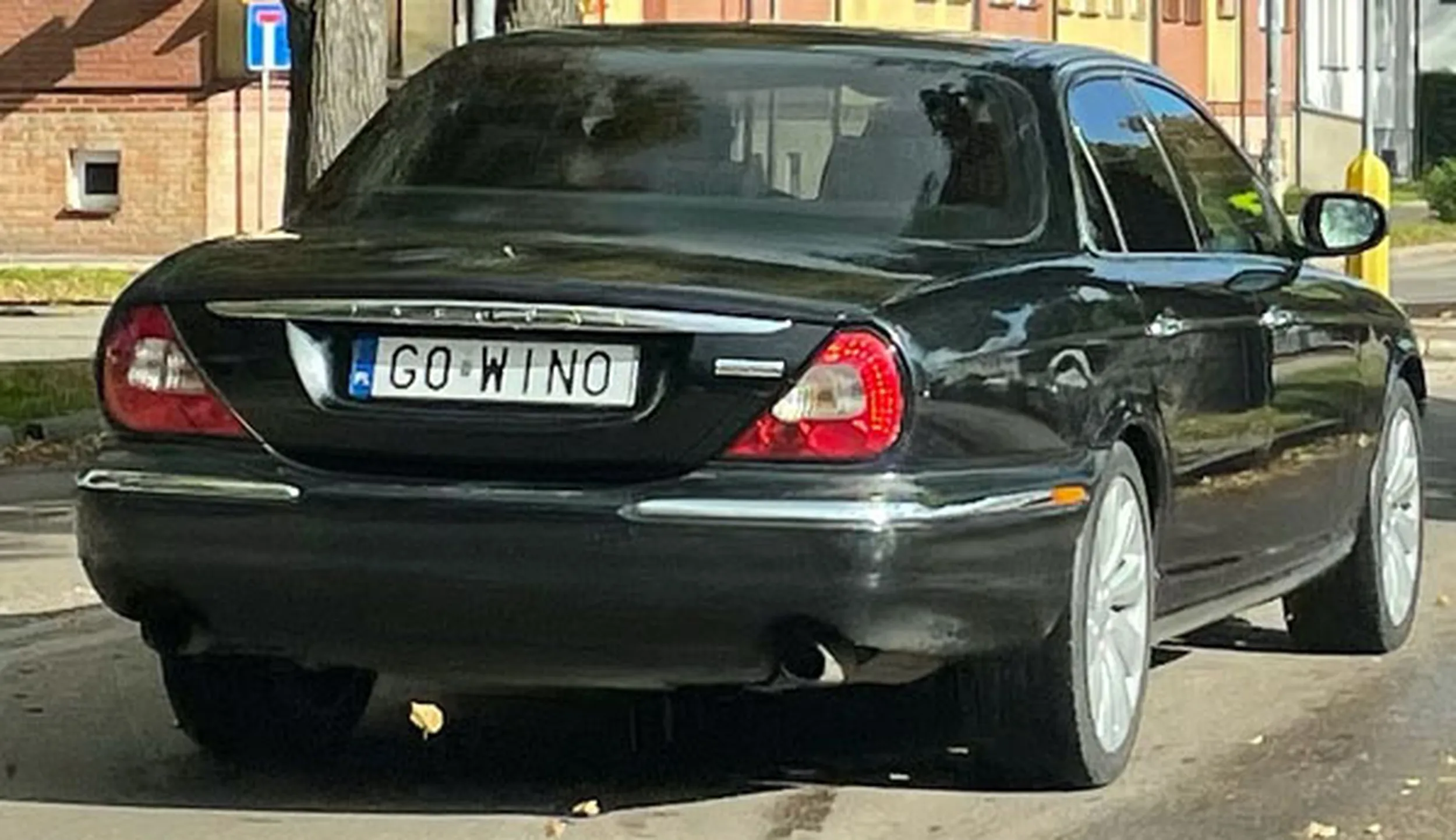 Fajny numer, blacha G0 WINO