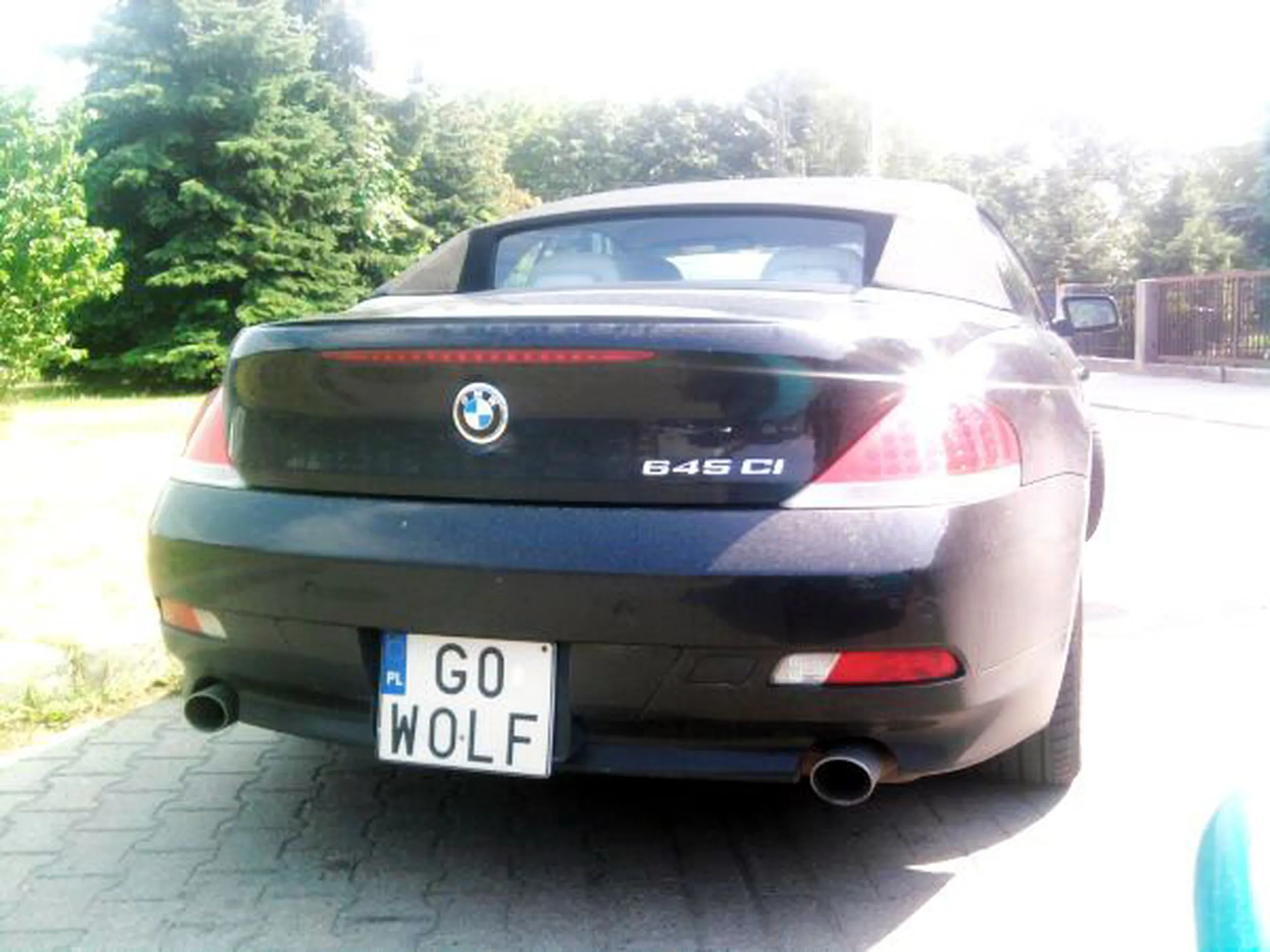 Fajny numer, blacha G0 WOLF