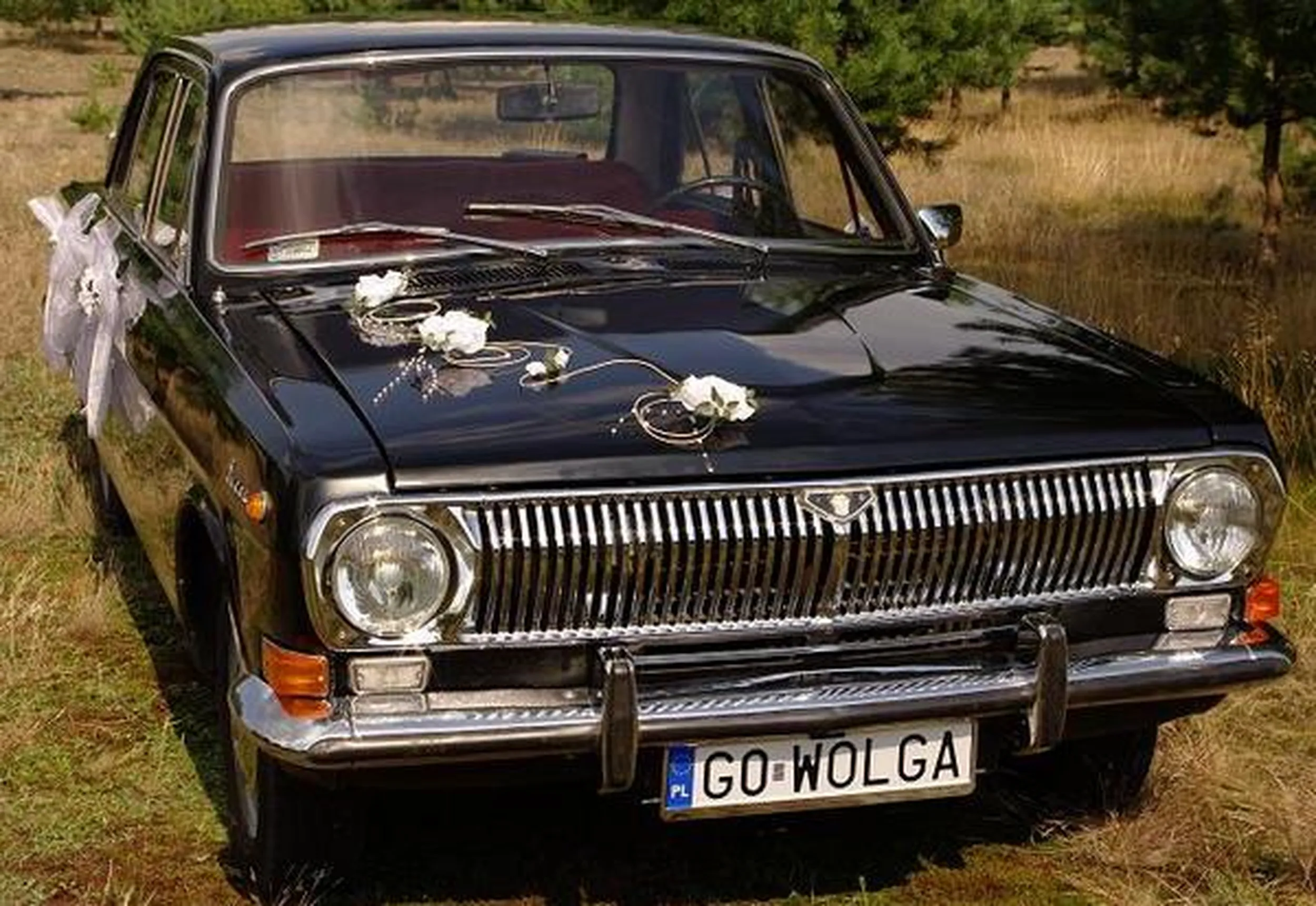 Fajny numer, blacha G0 WOLGA