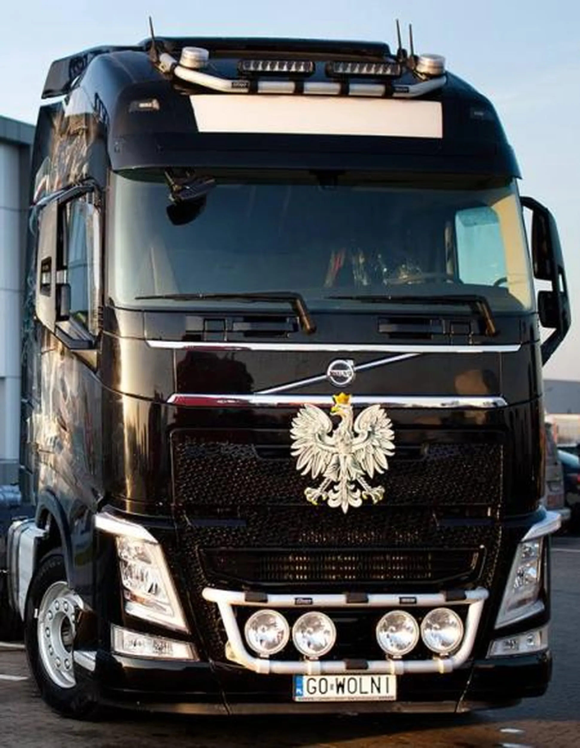 Fajny numer, blacha G0 WOLNI