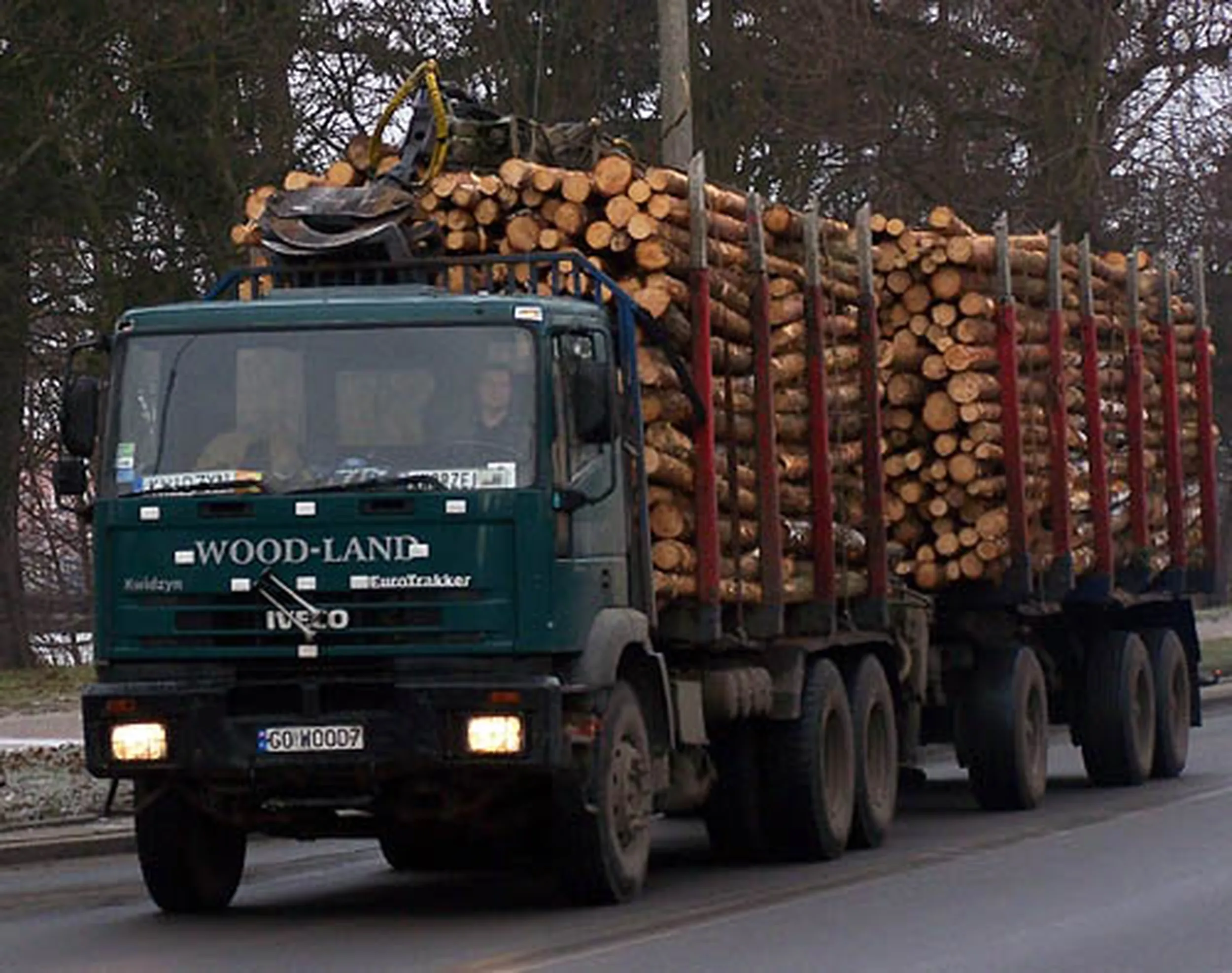 Fajny numer, blacha G0 WOOD7