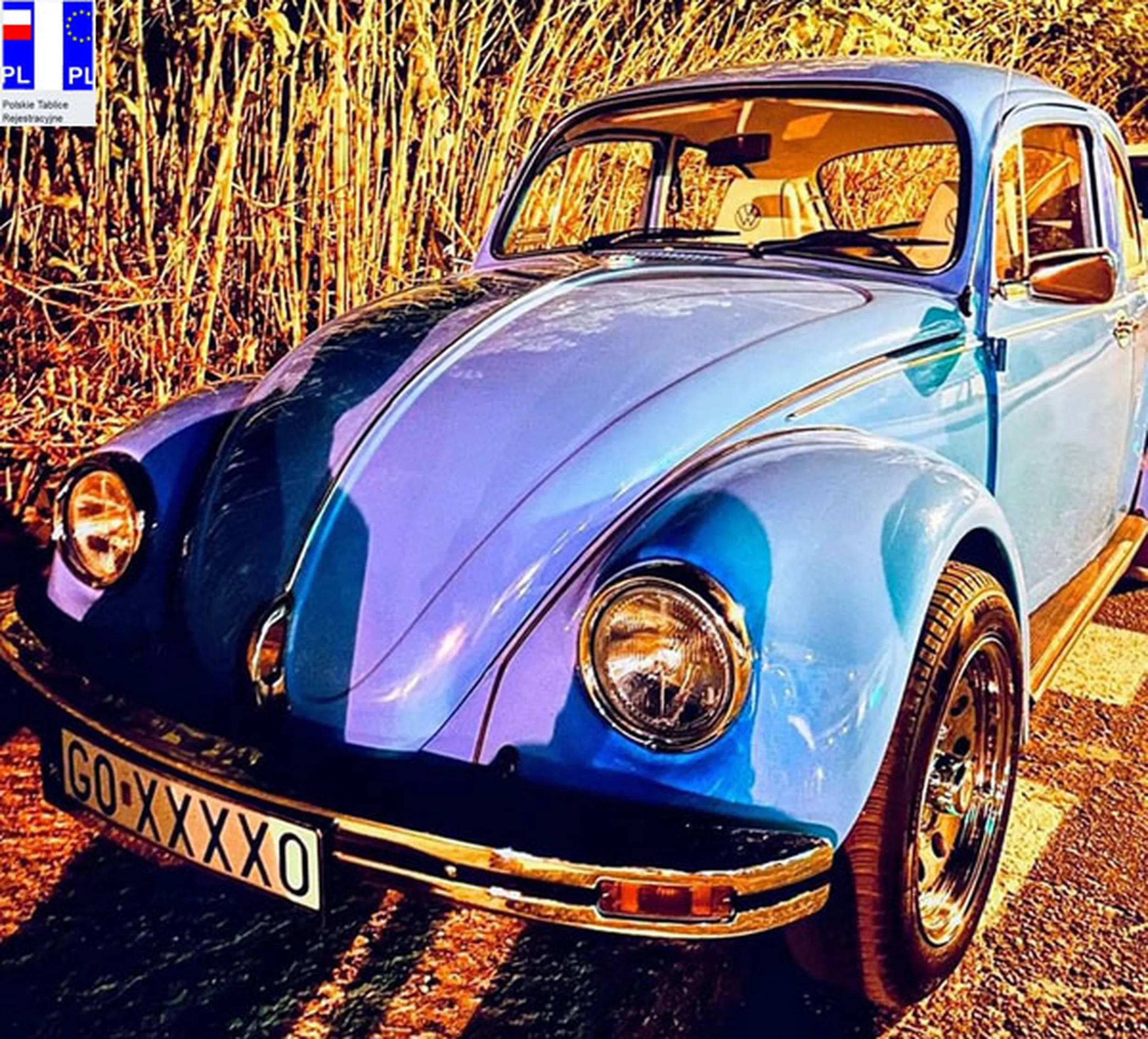 Fajny numer, blacha G0 XXXXO