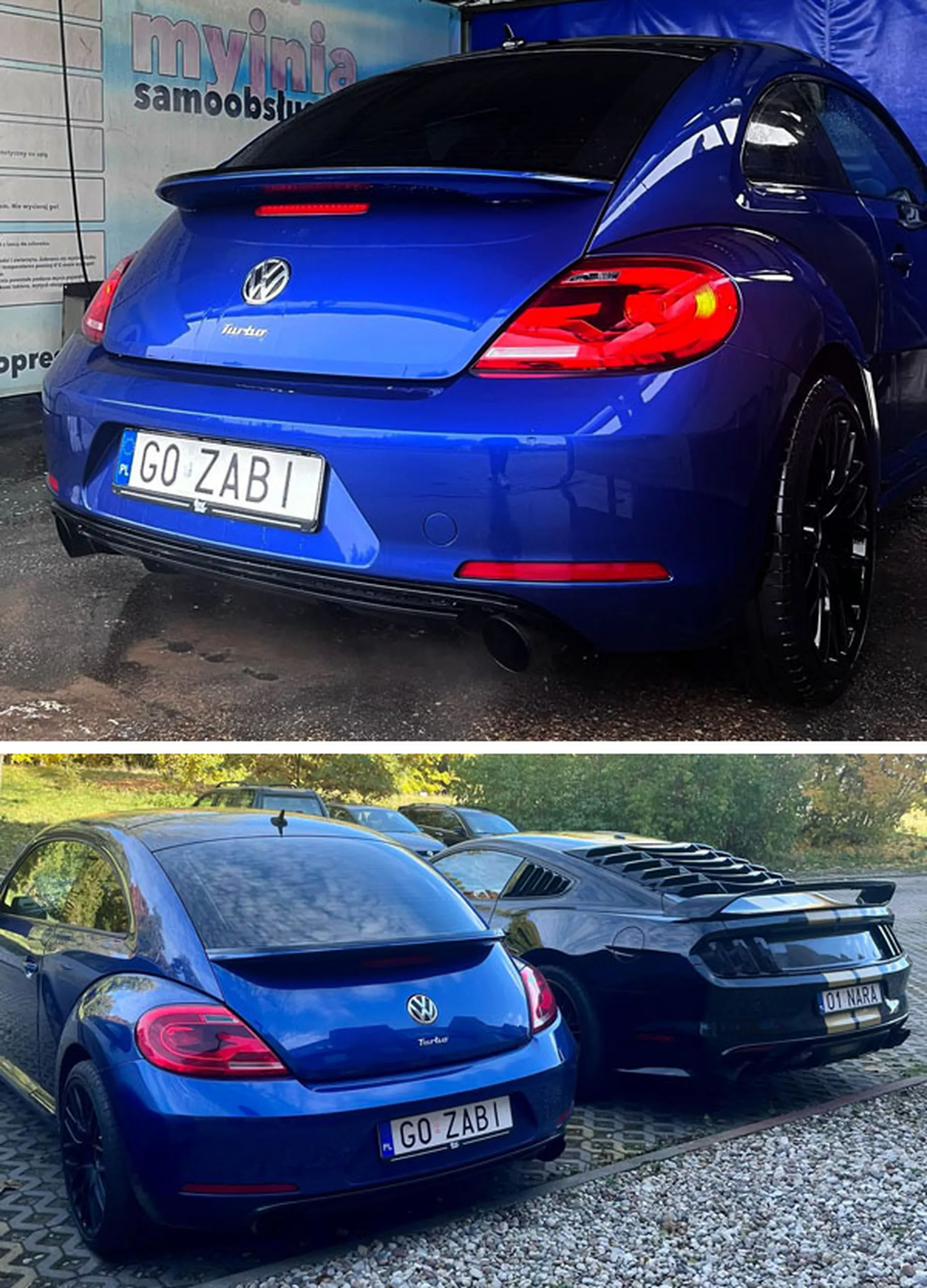 Fajny numer, blacha G0 ZABI