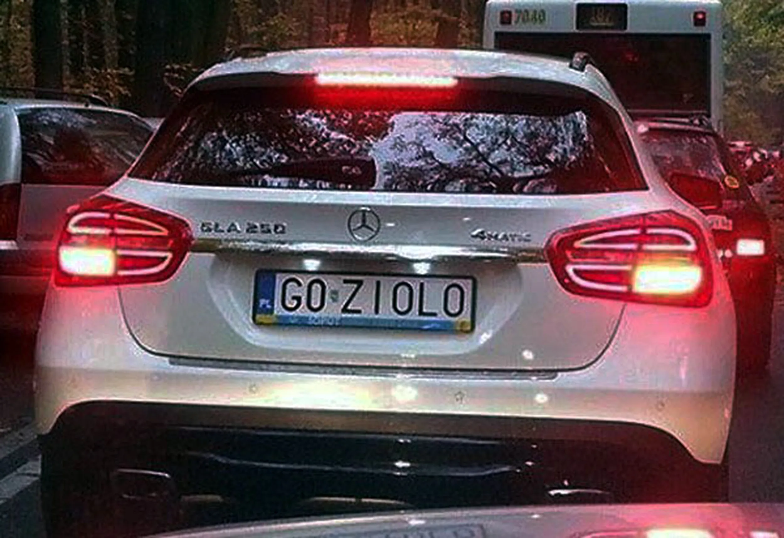 Fajny numer, blacha G0 ZIOLO