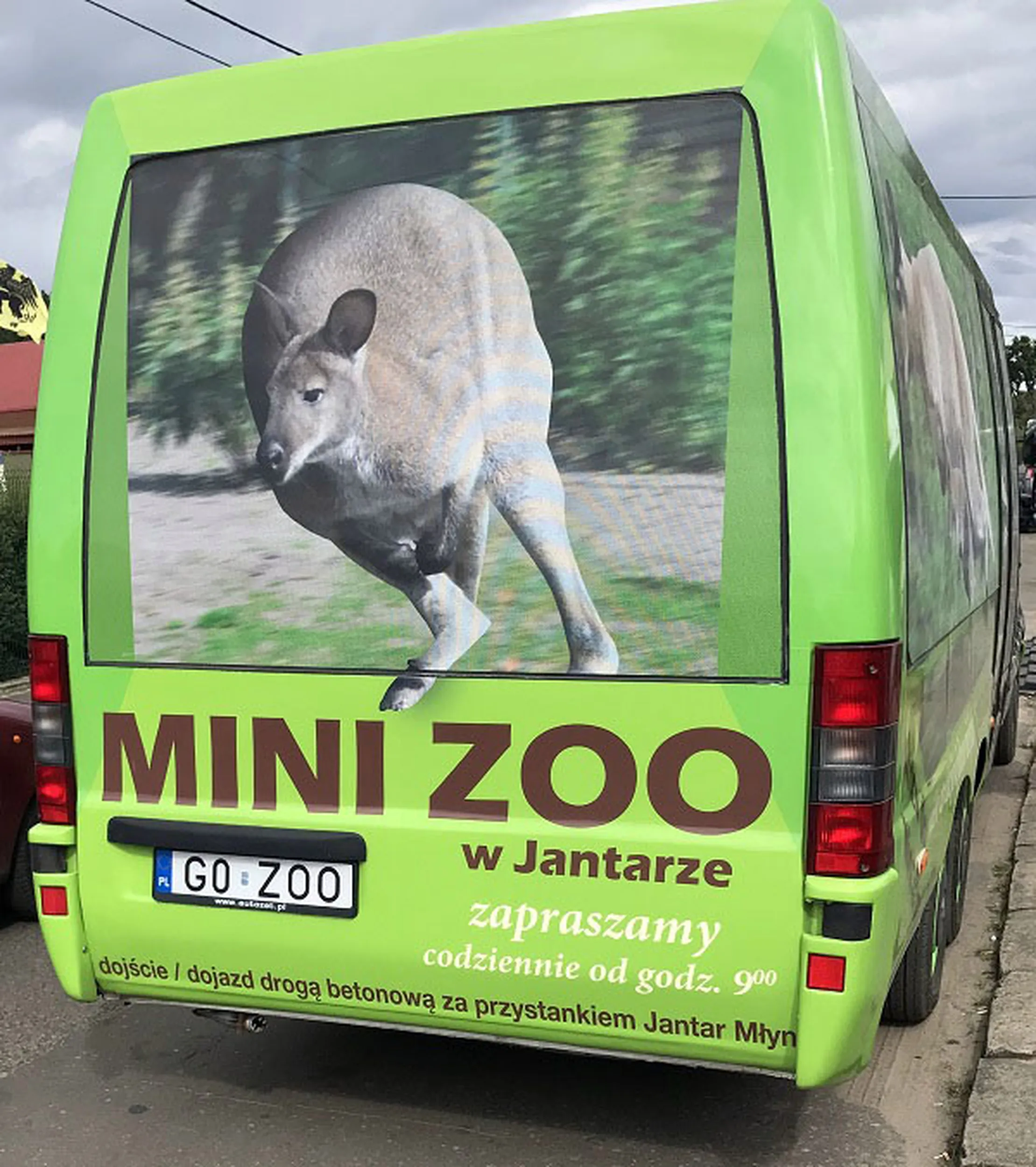 Fajny numer, blacha G0 ZOO