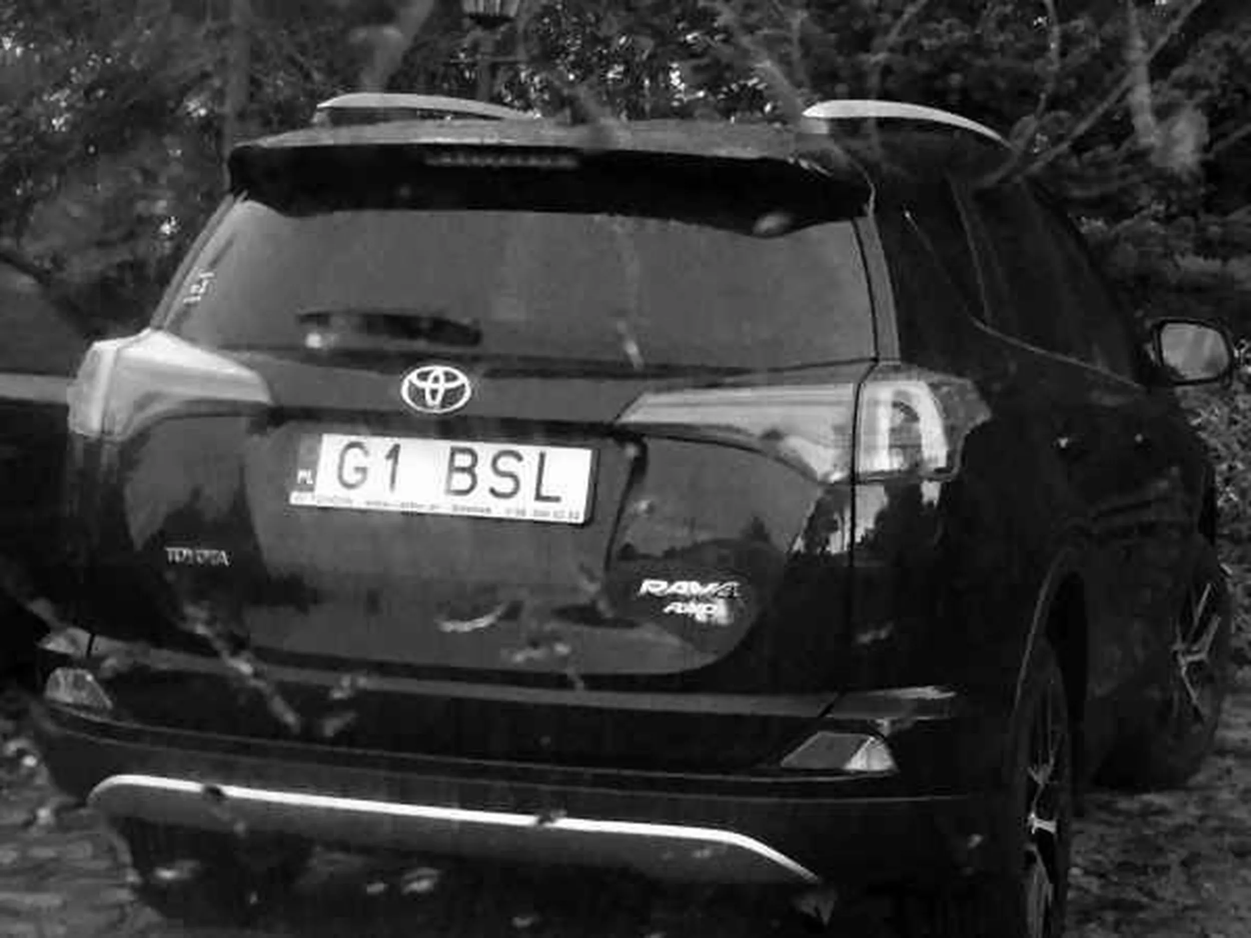 Fajny numer, blacha G1 BSL