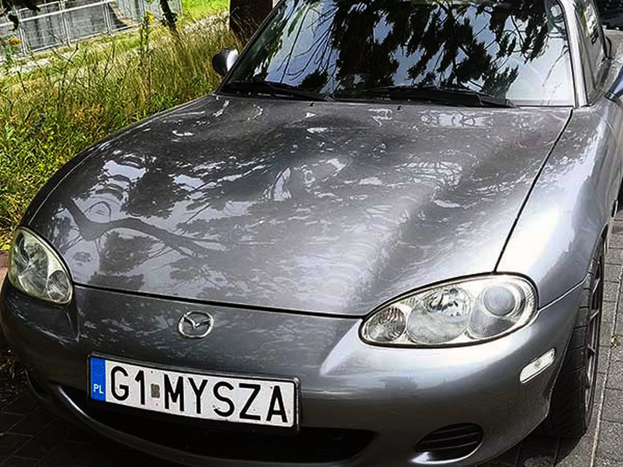 Fajny numer, blacha G1 MYSZA