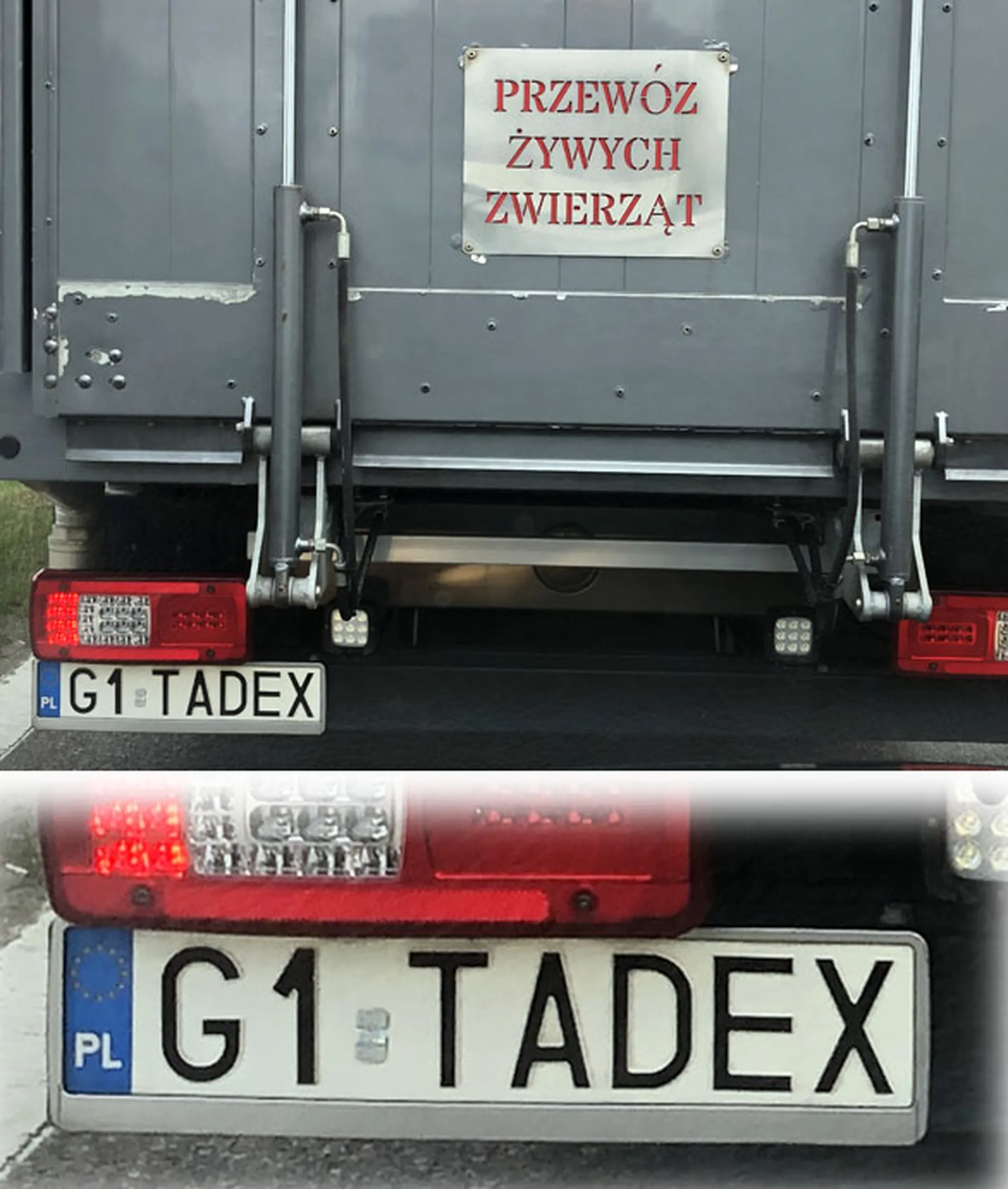 Fajny numer, blacha G1 TADEX