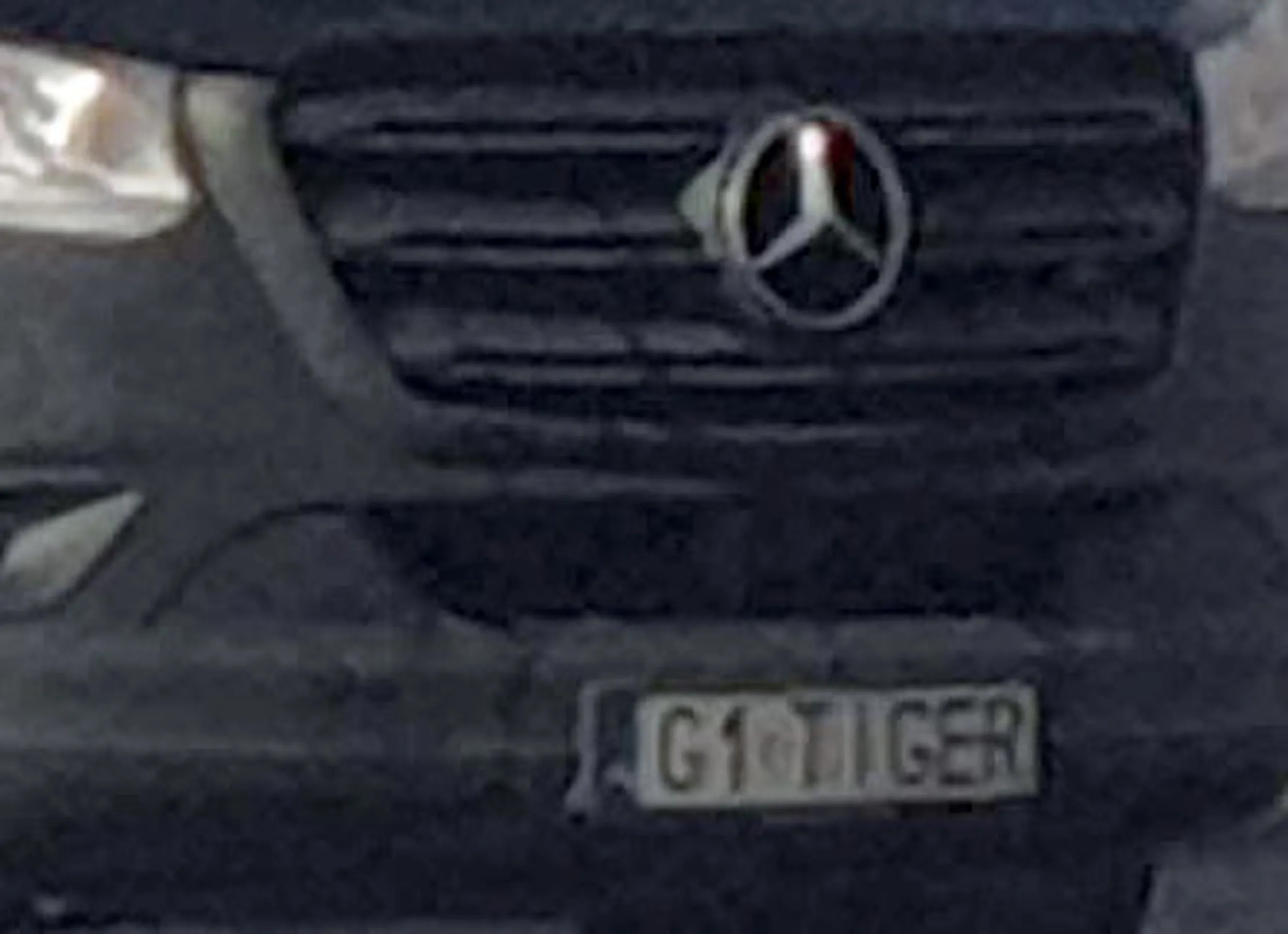 Fajny numer, blacha G1 TIGER