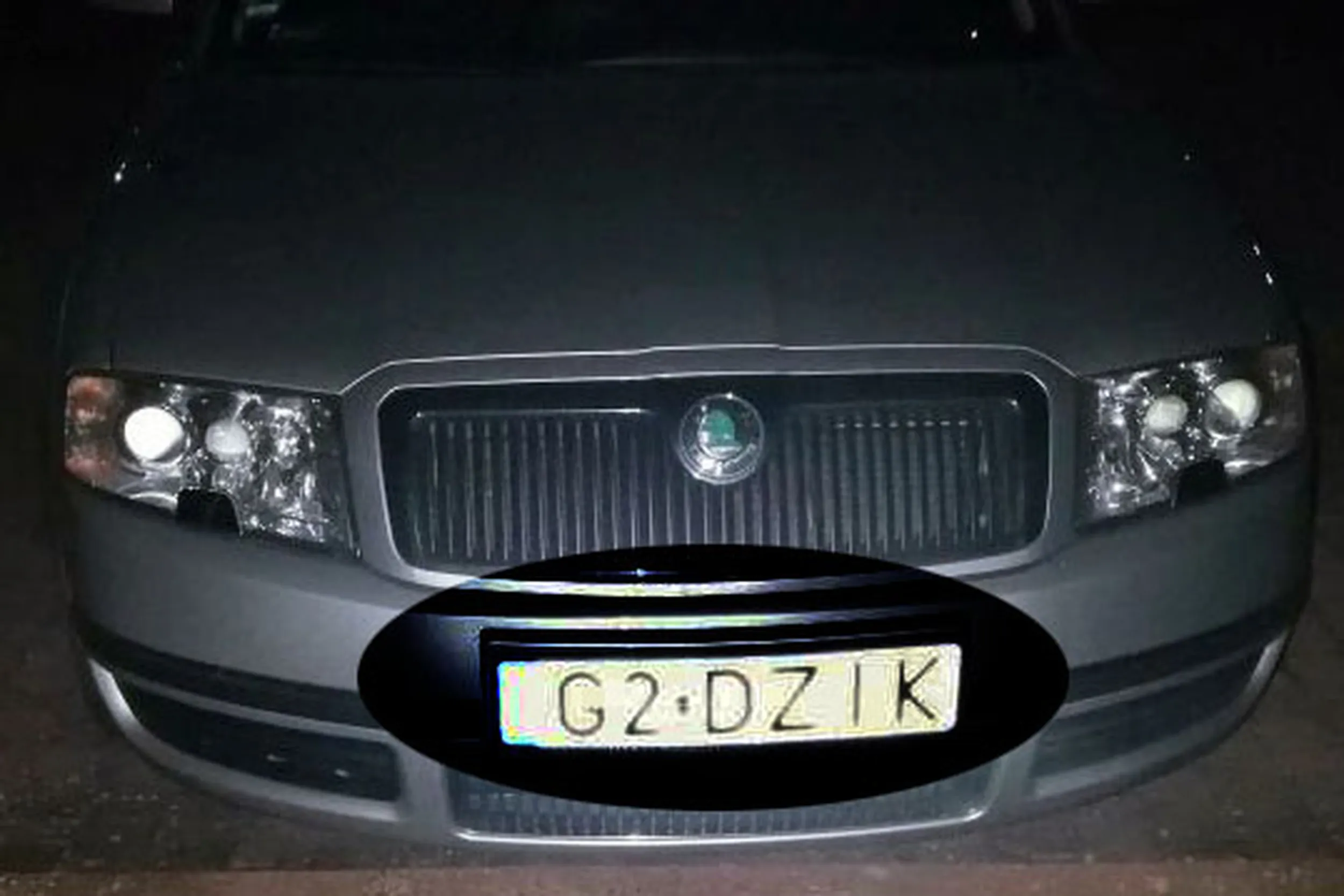 Fajny numer, blacha G2 DZIK