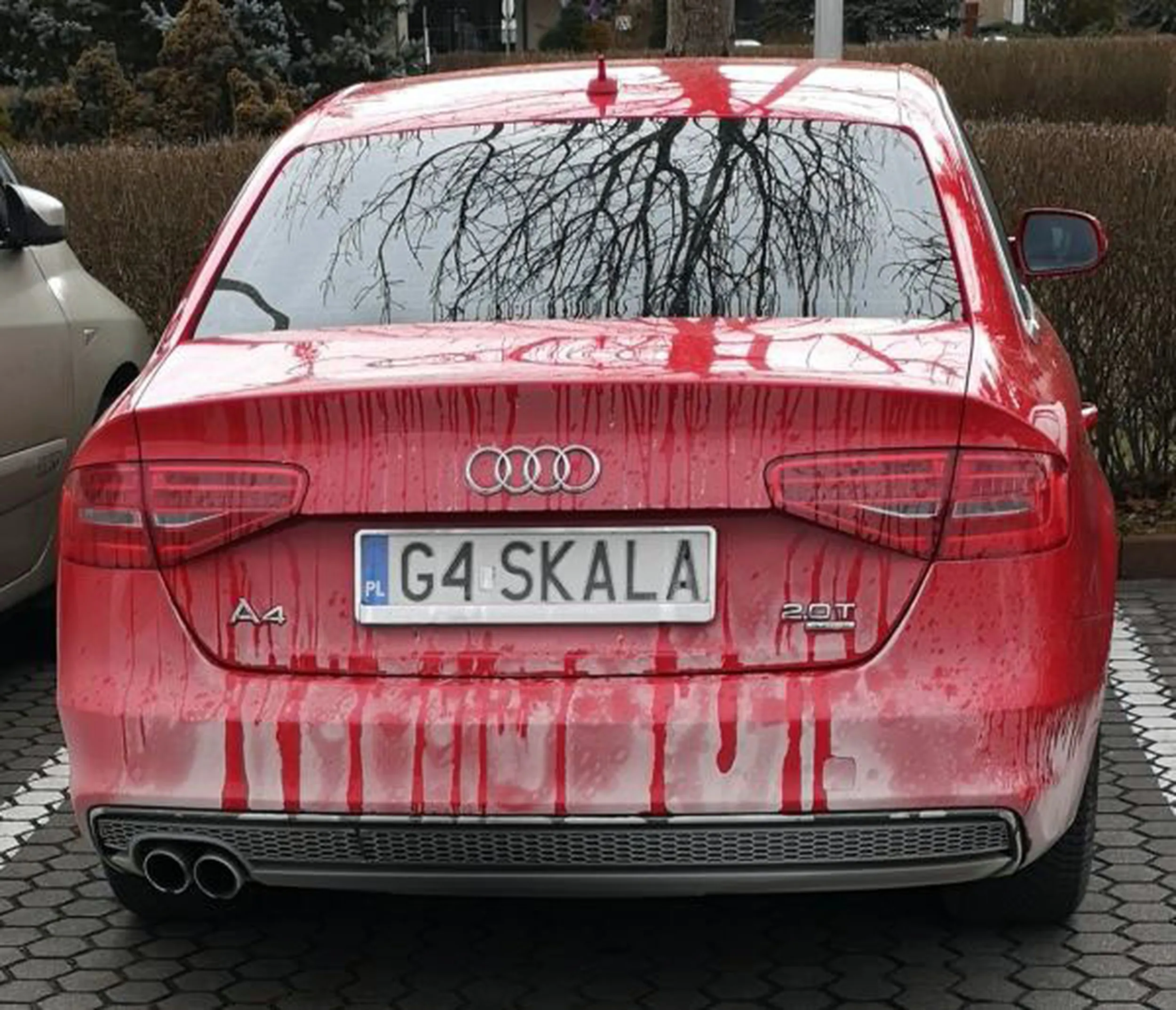 Fajny numer, blacha G4 SKALA