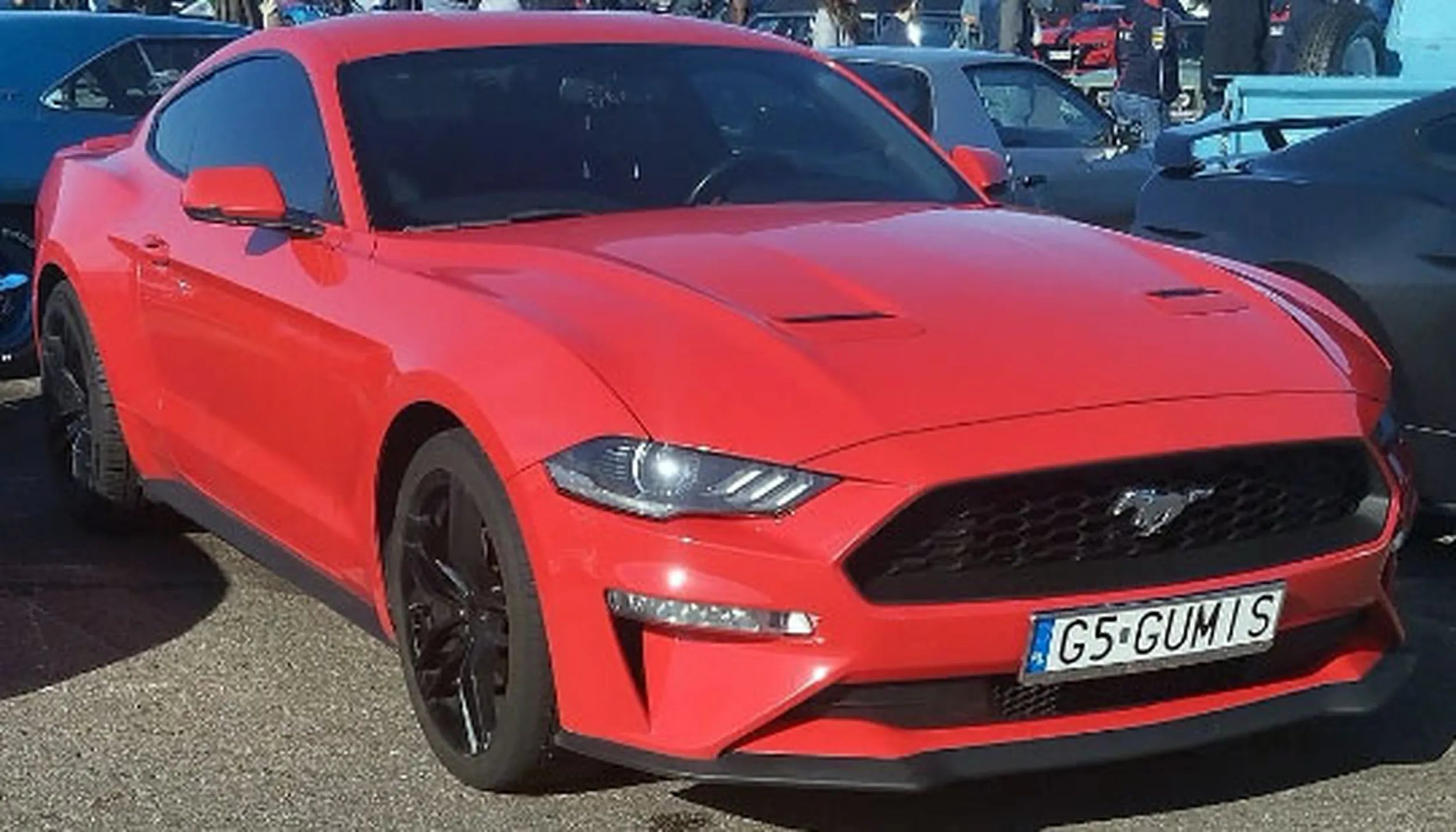 Fajny numer, blacha G5 GUMIS