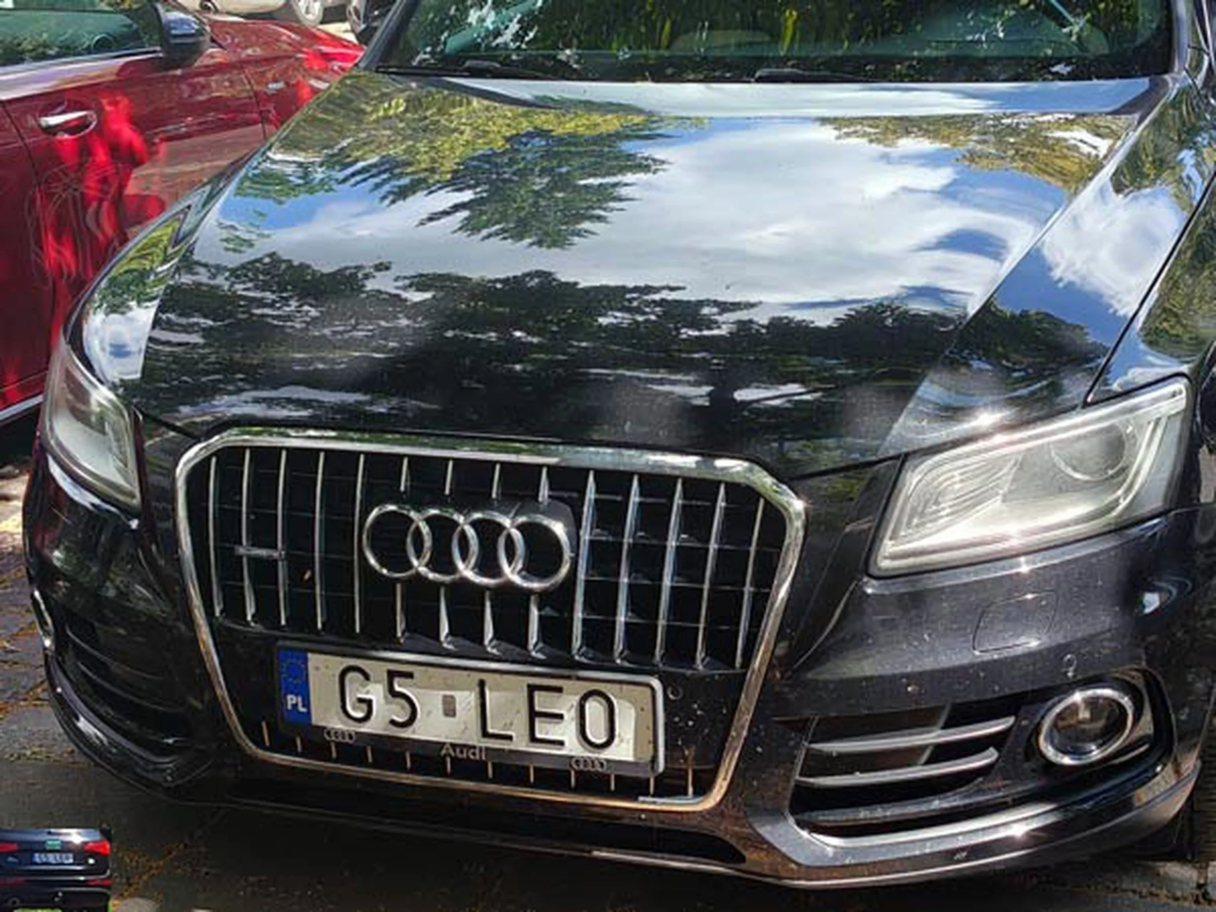 Fajny numer, blacha G5 LEO