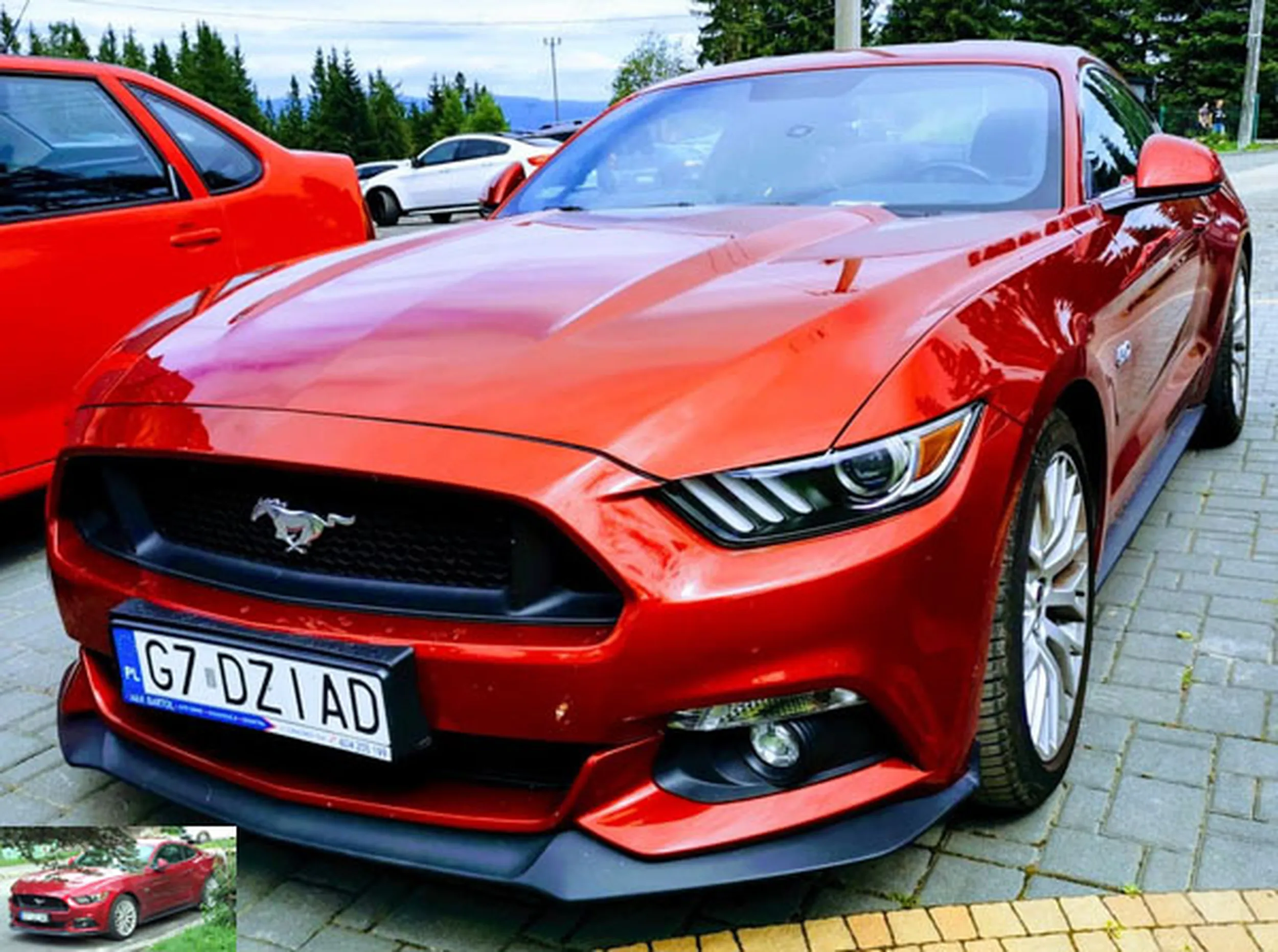 Fajny numer, blacha G7 DZIAD