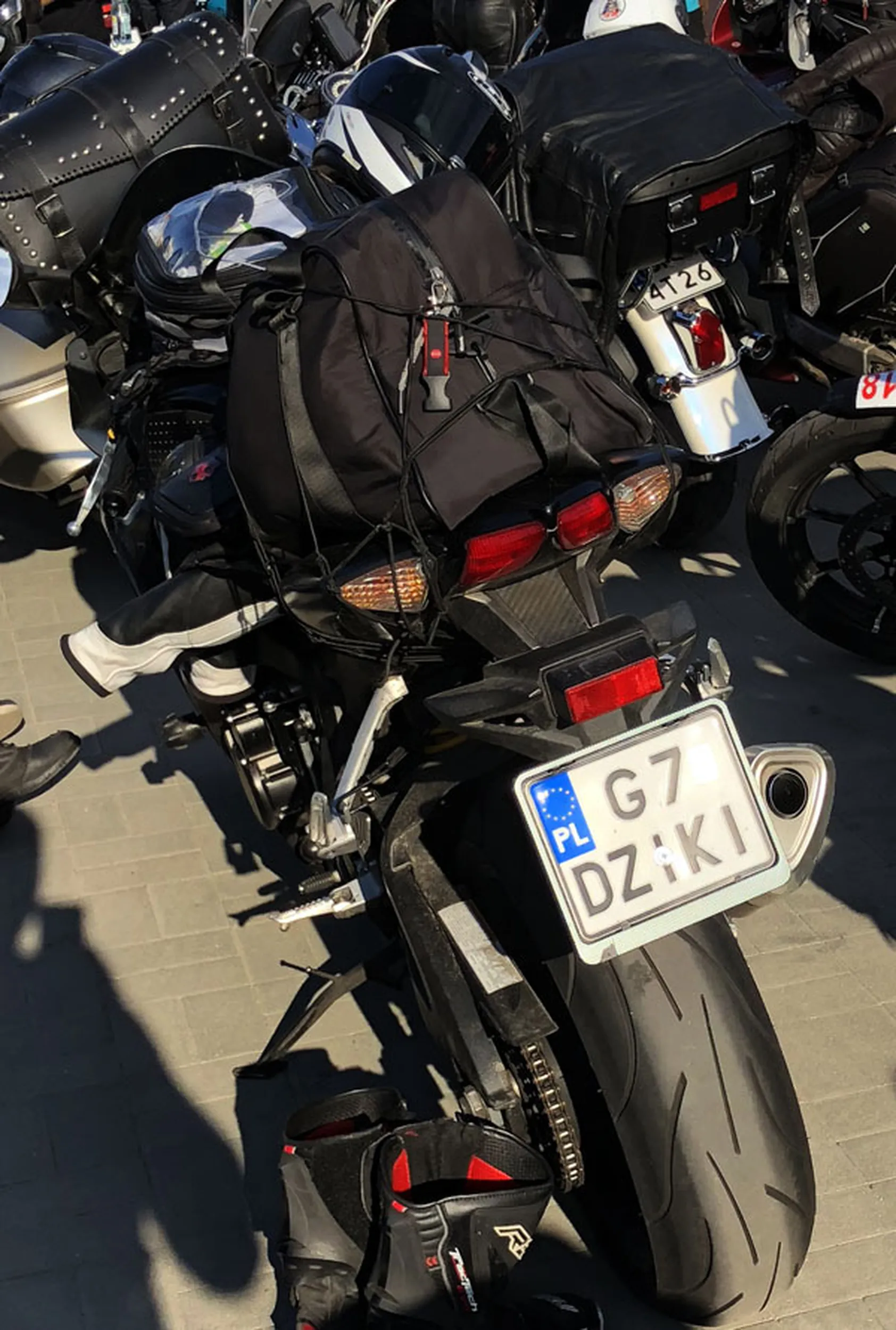 Fajny numer, blacha G7 DZIKI