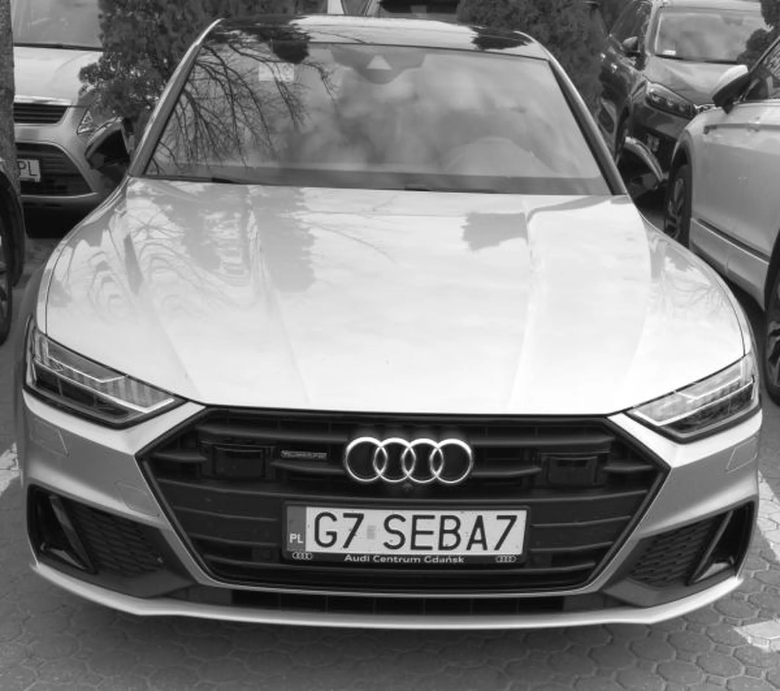 Fajny numer, blacha G7 SEBA7