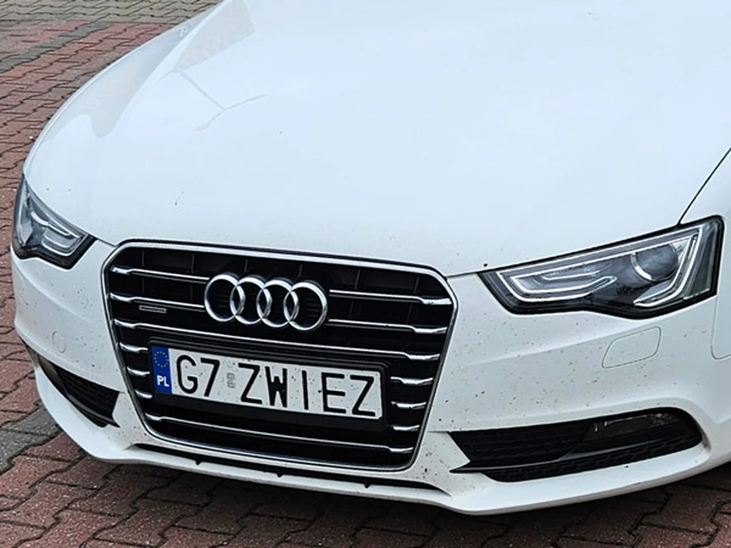 Fajny numer, blacha G7 ZWIEZ