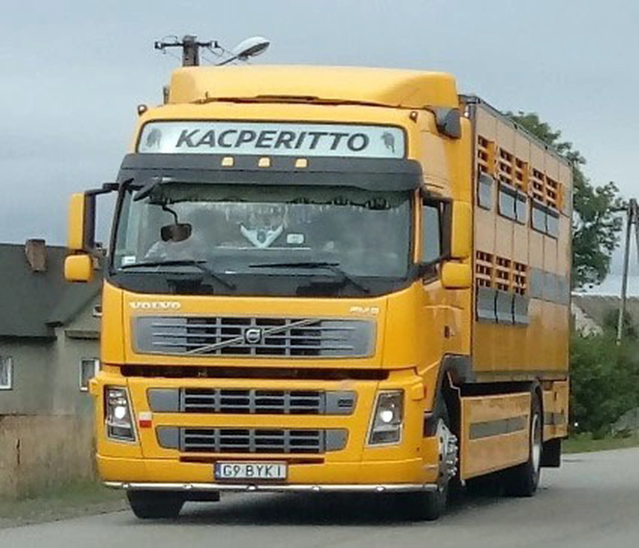 Fajny numer, blacha G9 BYKI