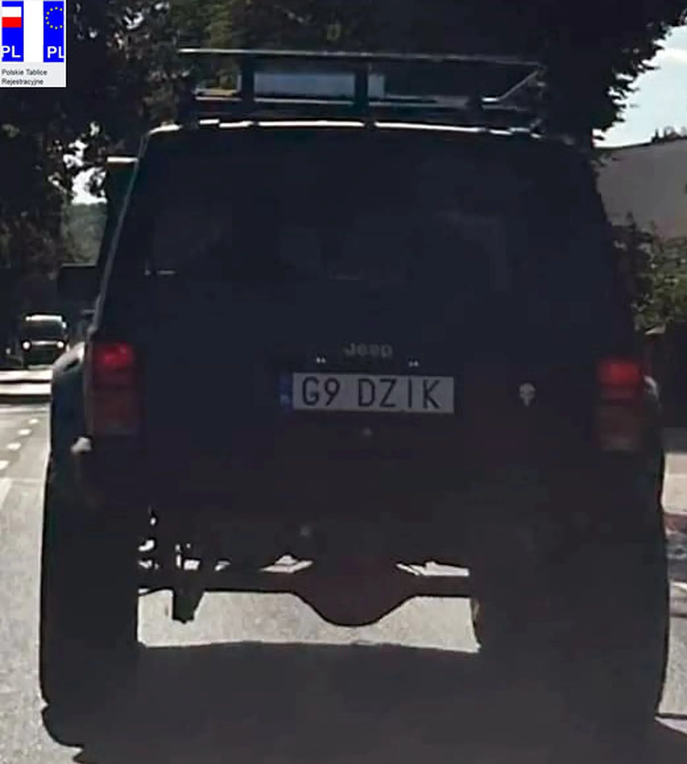 Fajny numer, blacha G9 DZIK