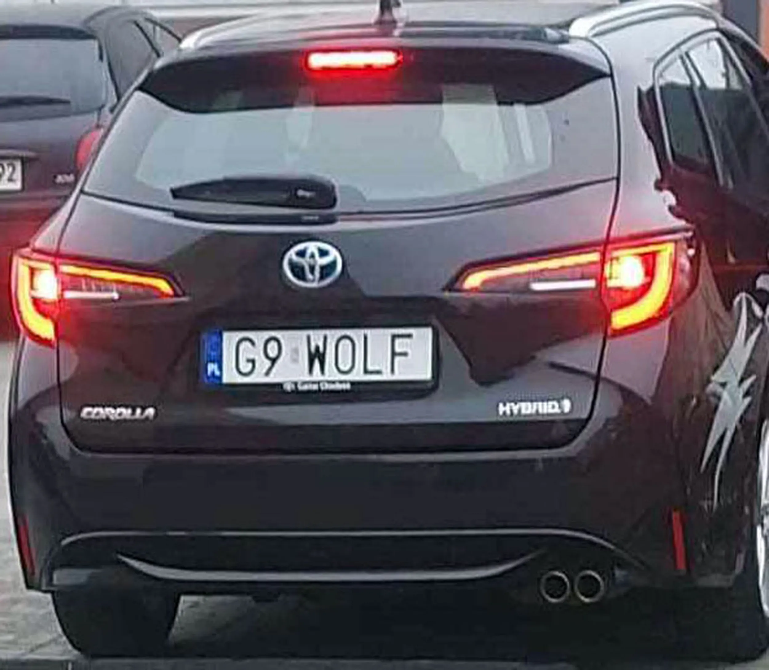 Fajny numer, blacha G9 WOLF