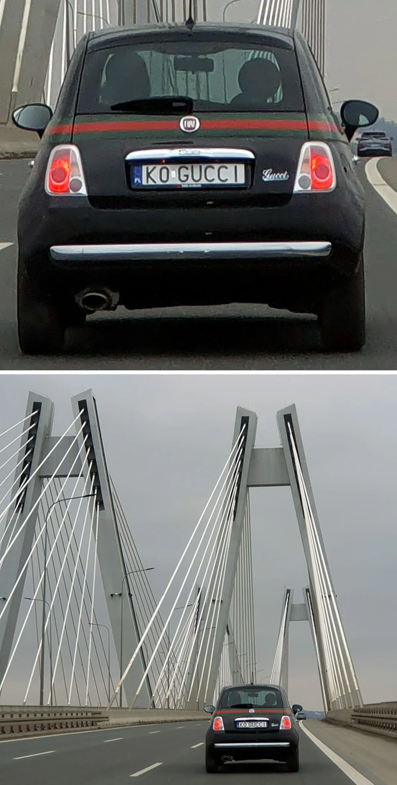 Fajny numer, blacha K0 GUCCI