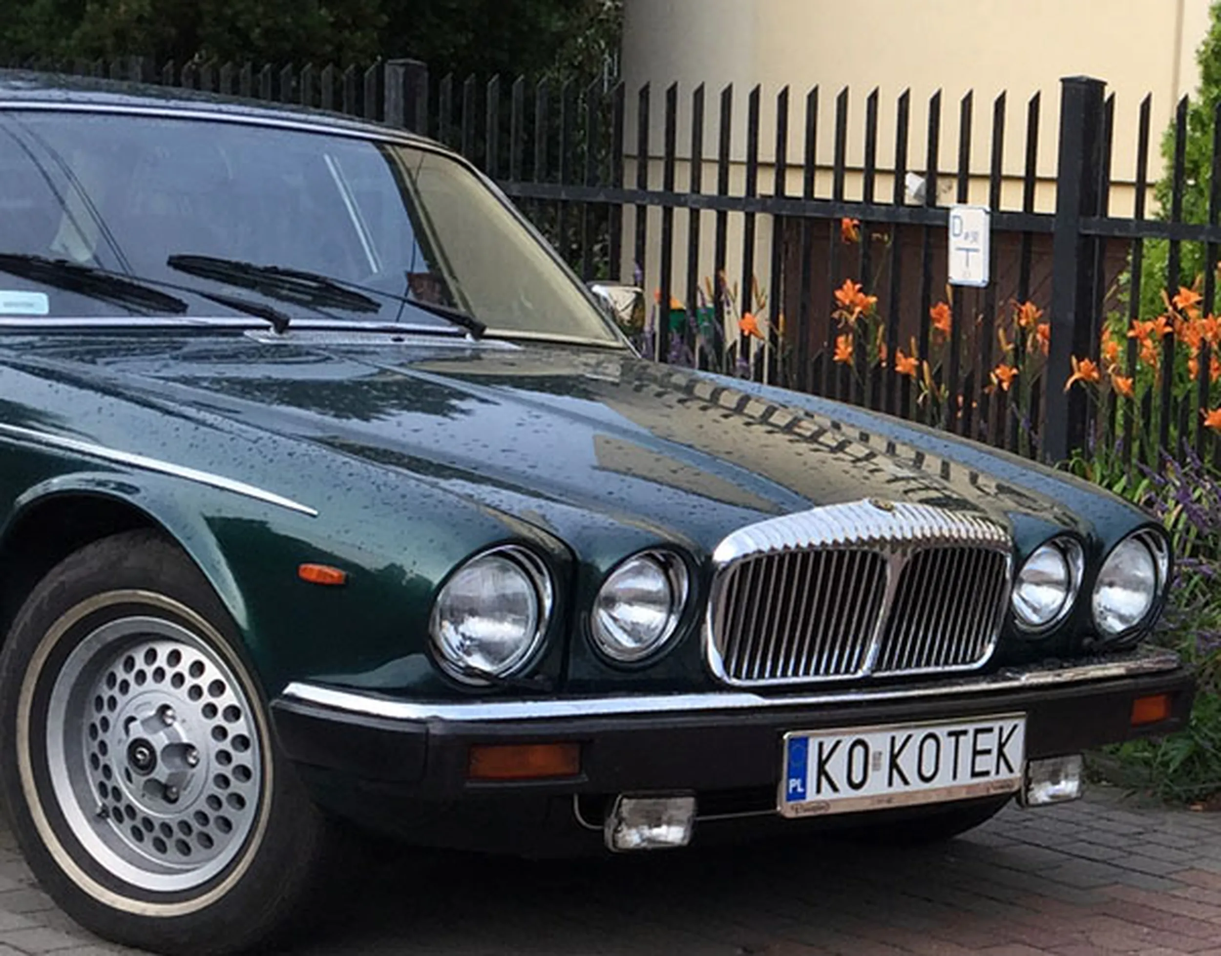 Fajny numer, blacha K0 KOTEK