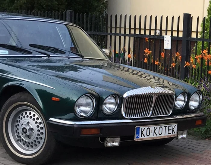 Fajny numer, blacha K0 KOTEK