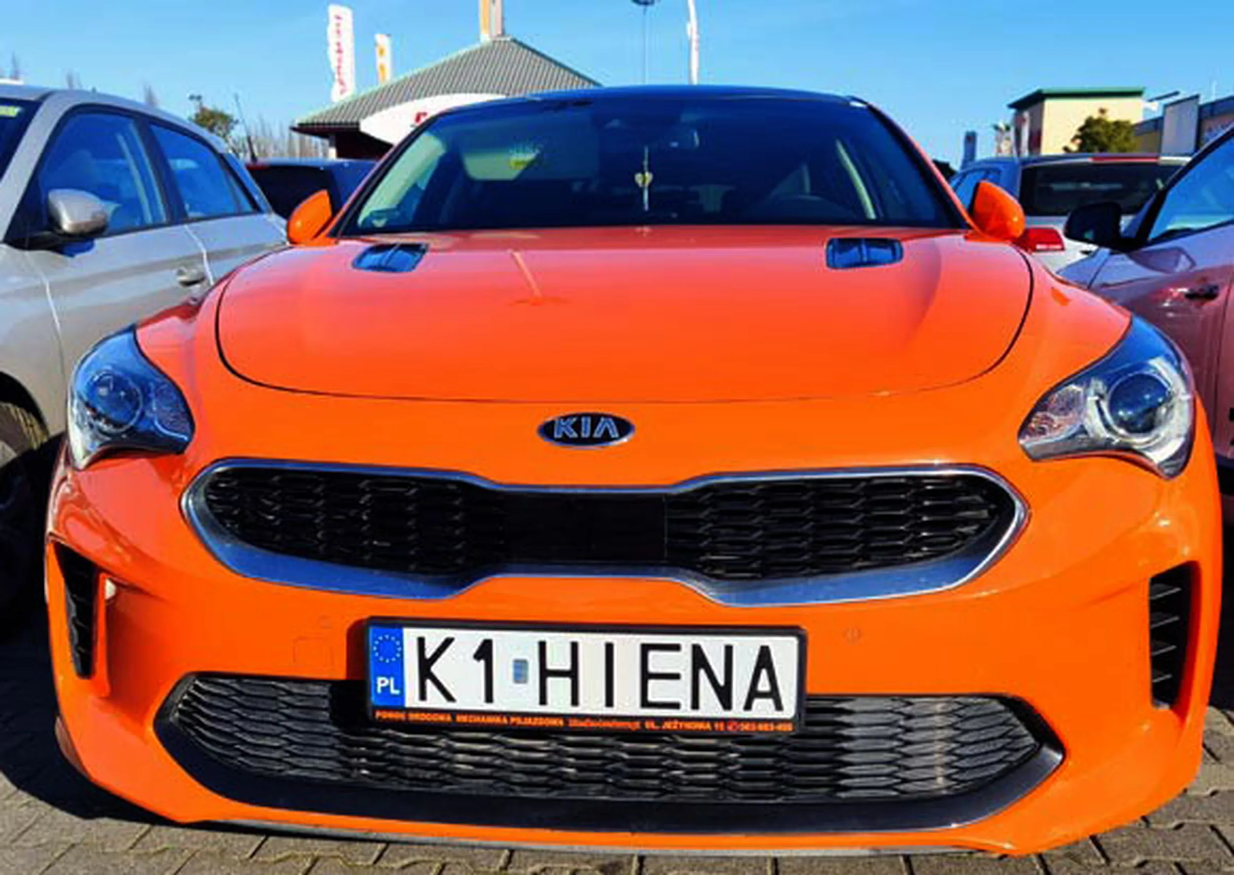 Fajny numer, blacha K1 HIENA