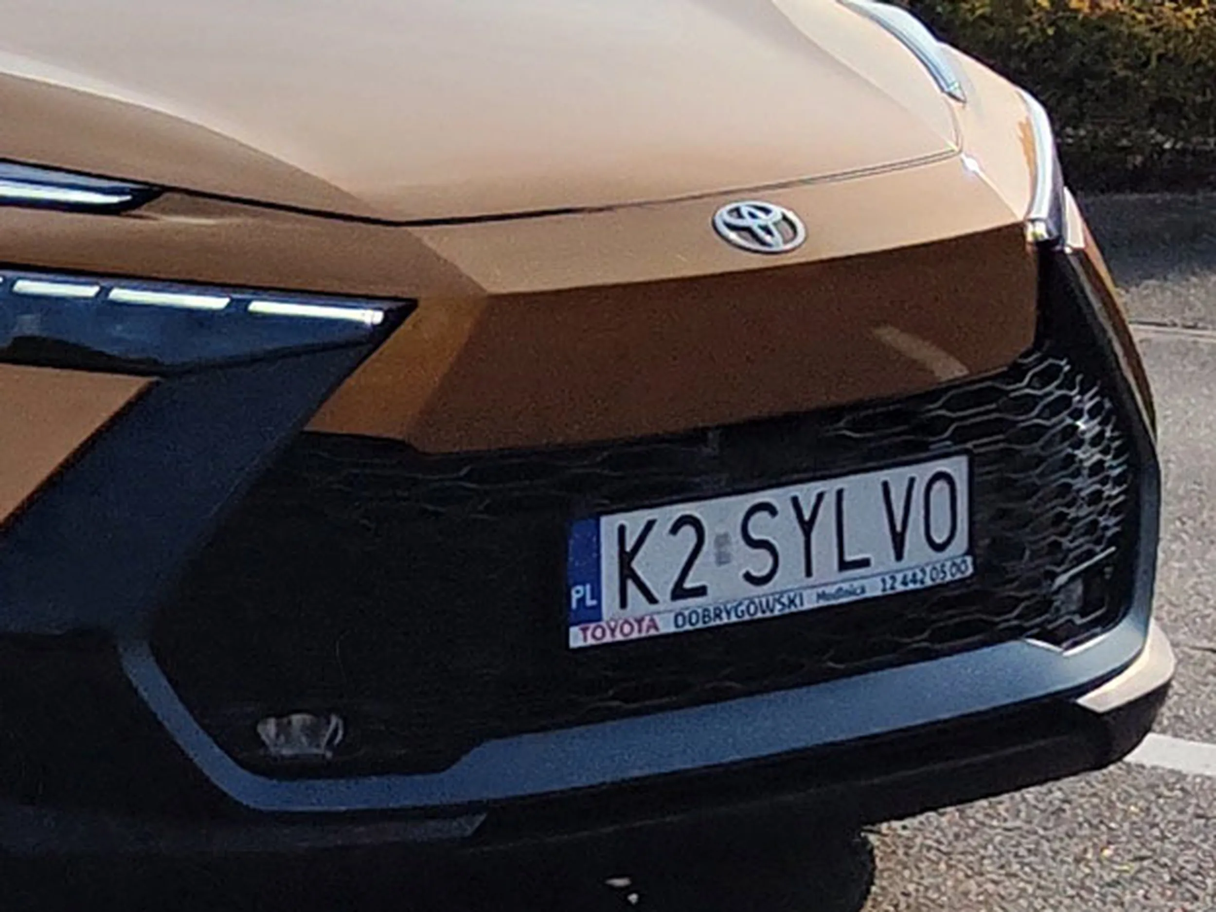 Fajny numer, blacha K2 SYLVO