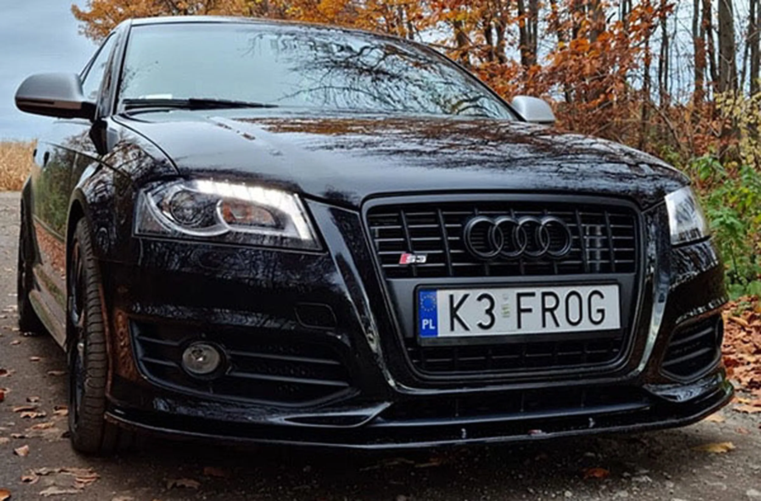 Fajny numer, blacha K3 FROG