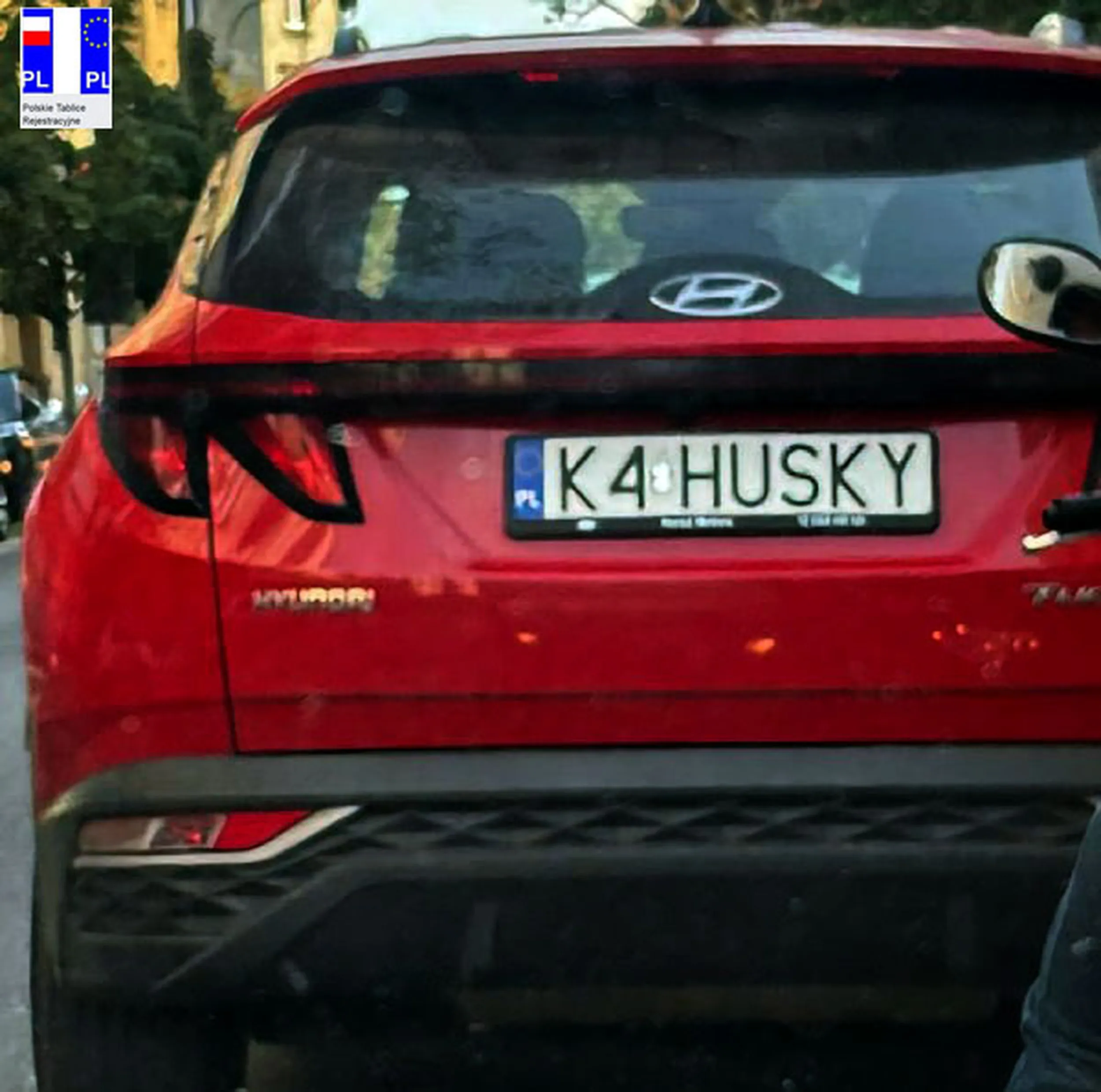 Fajny numer, blacha K4 HUSKY