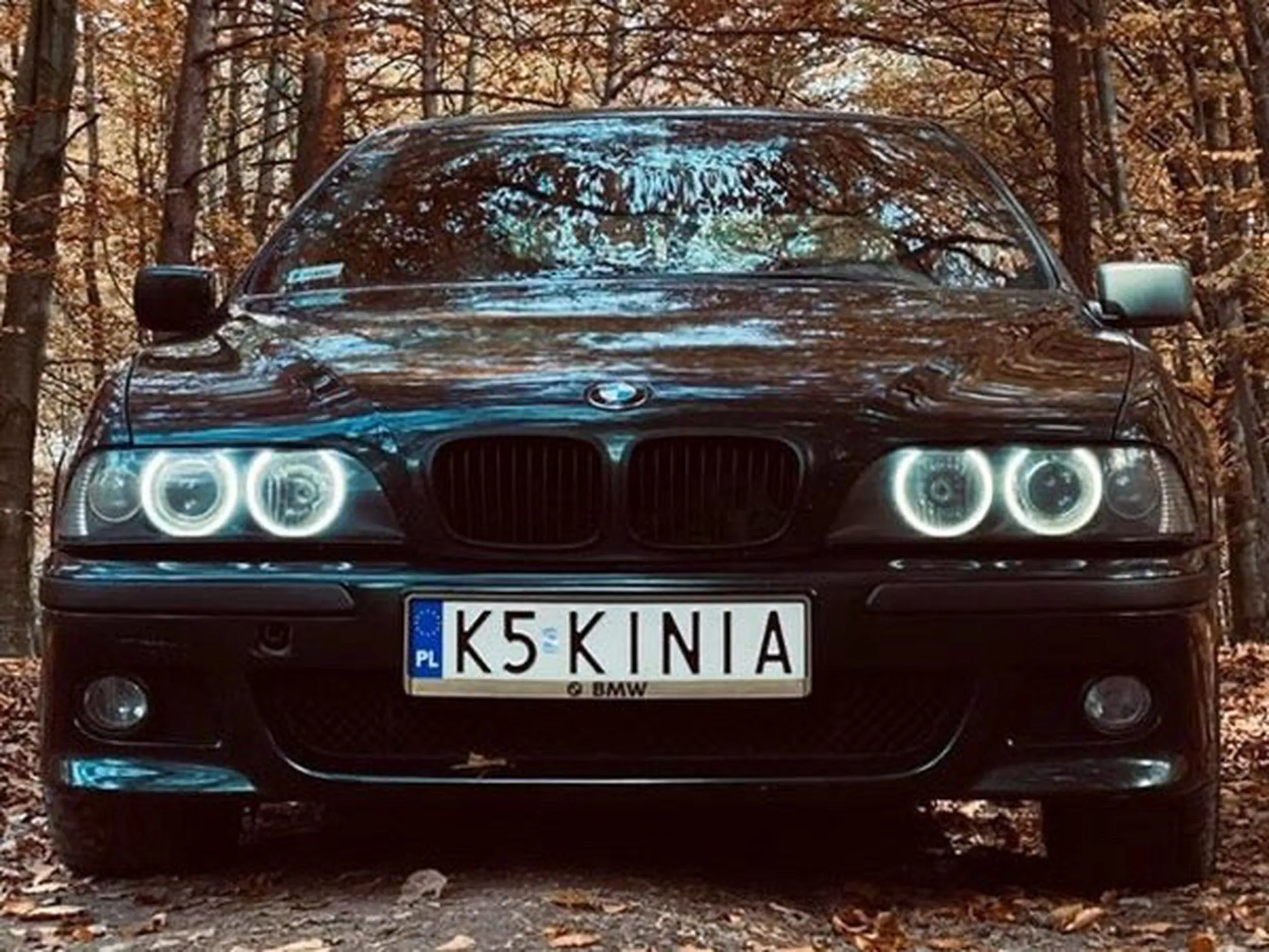 Fajny numer, blacha K5 KINIA