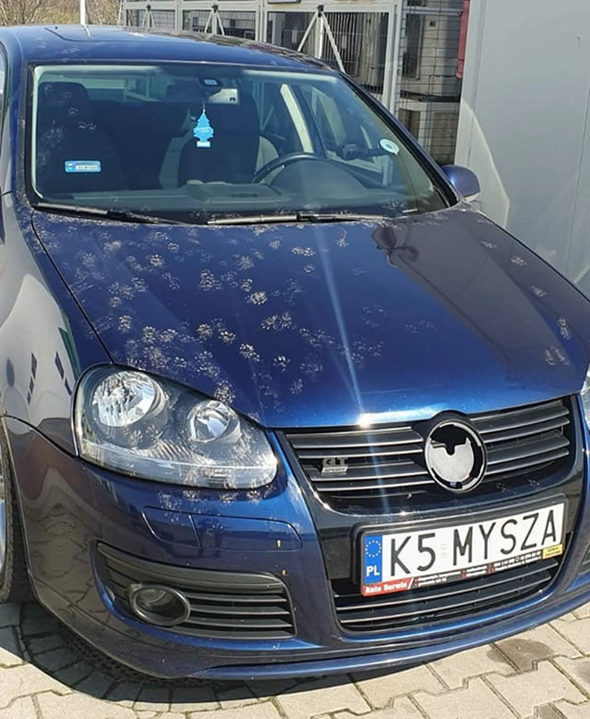 Fajny numer, blacha K5 MYSZA