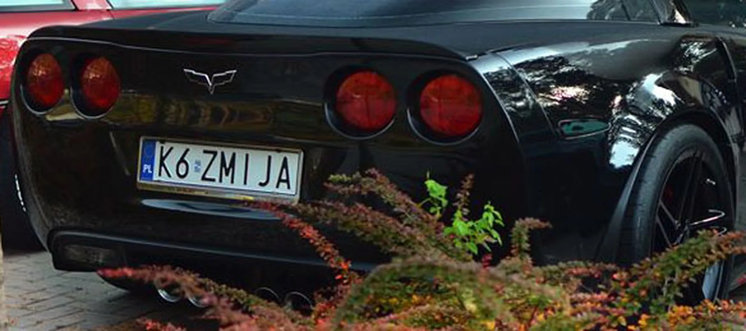 Fajny numer, blacha K6 ZMIJA