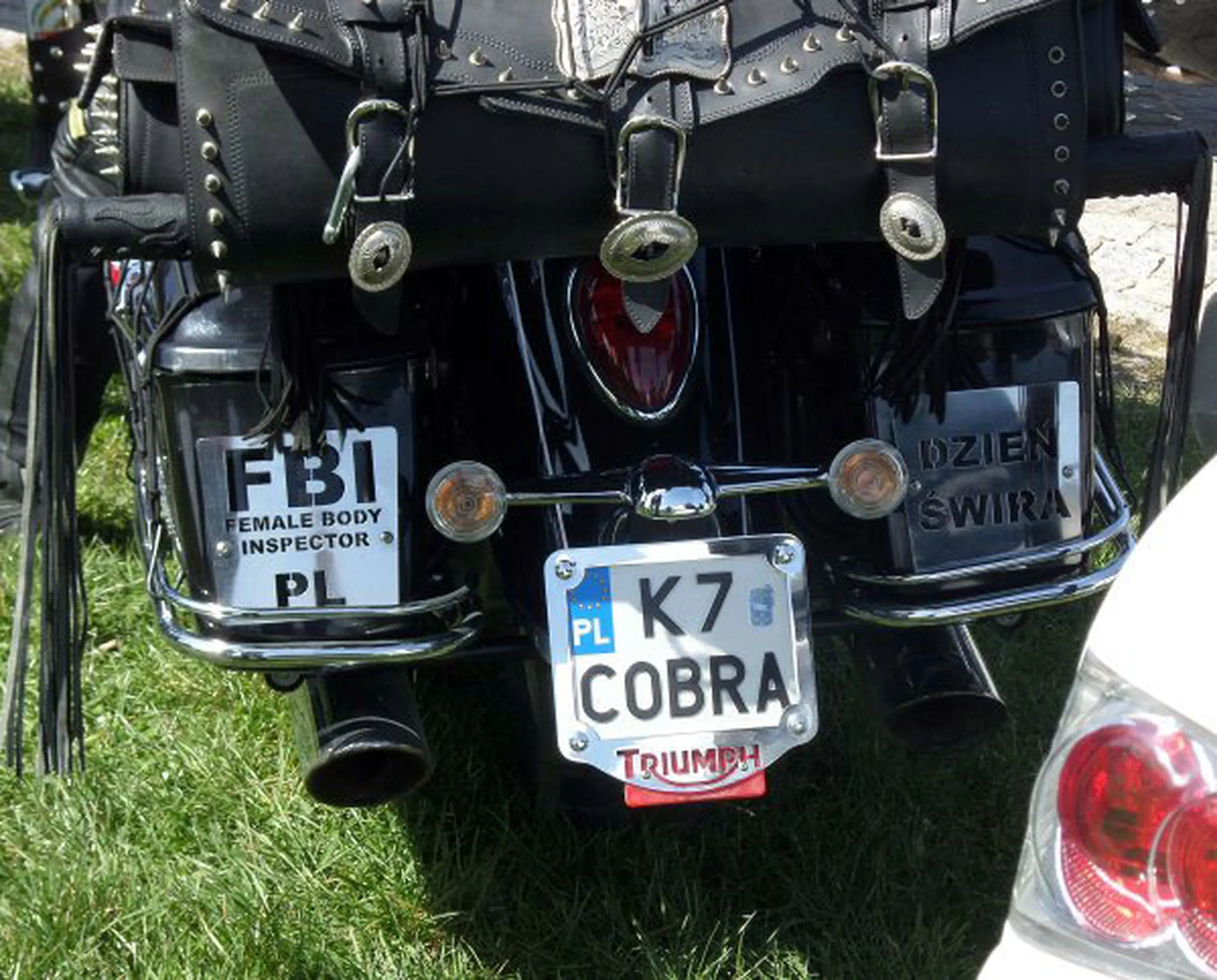 Fajny numer, blacha K7 COBRA