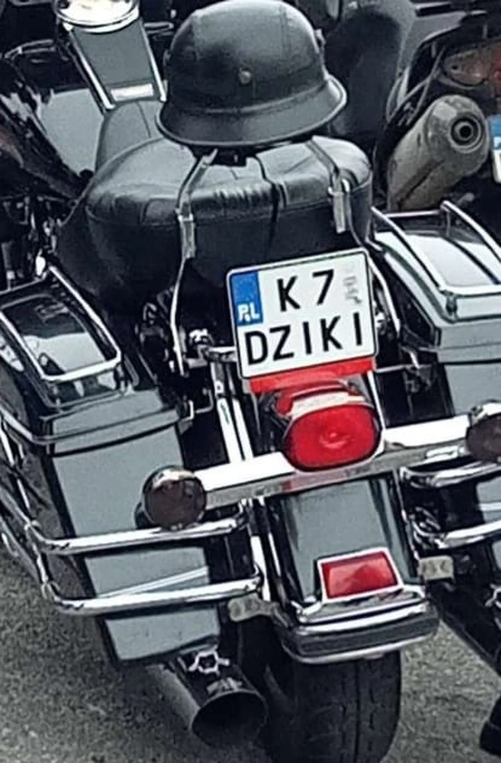 Fajny numer, blacha K7 DZIKI