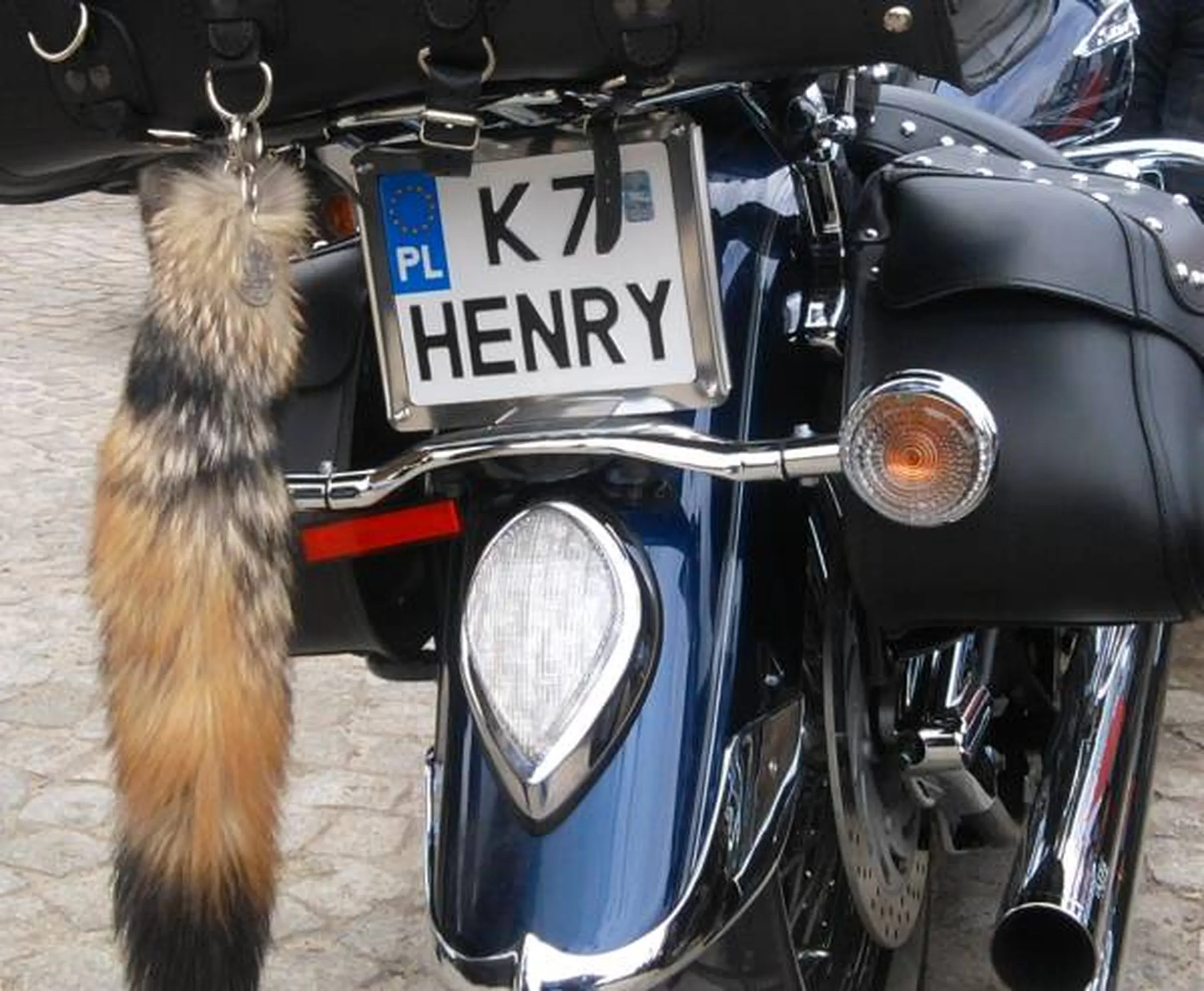 Fajny numer, blacha K7 HENRY