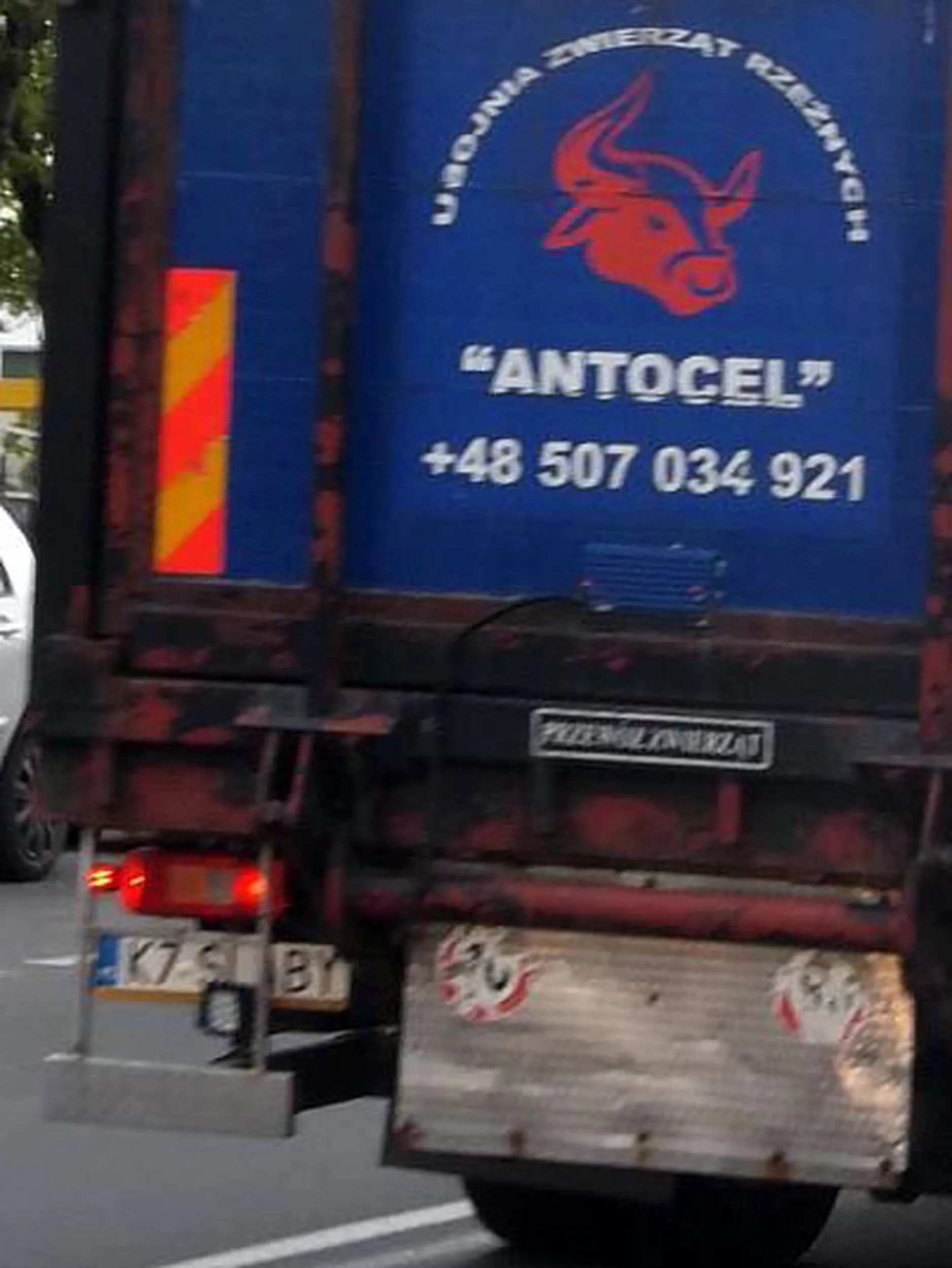 Fajny numer, blacha K7 SLABY