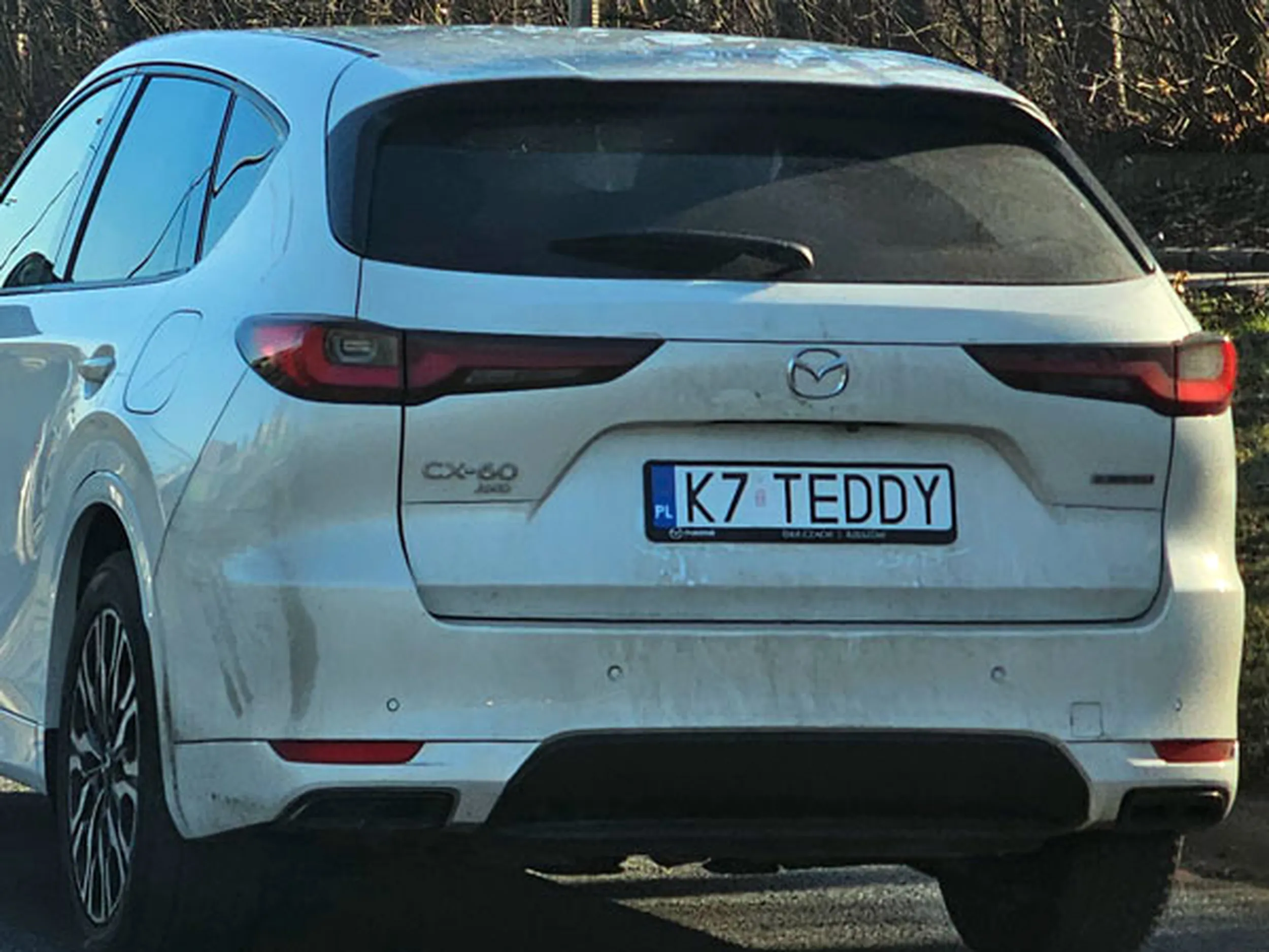 Fajny numer, blacha K7 TEDDY