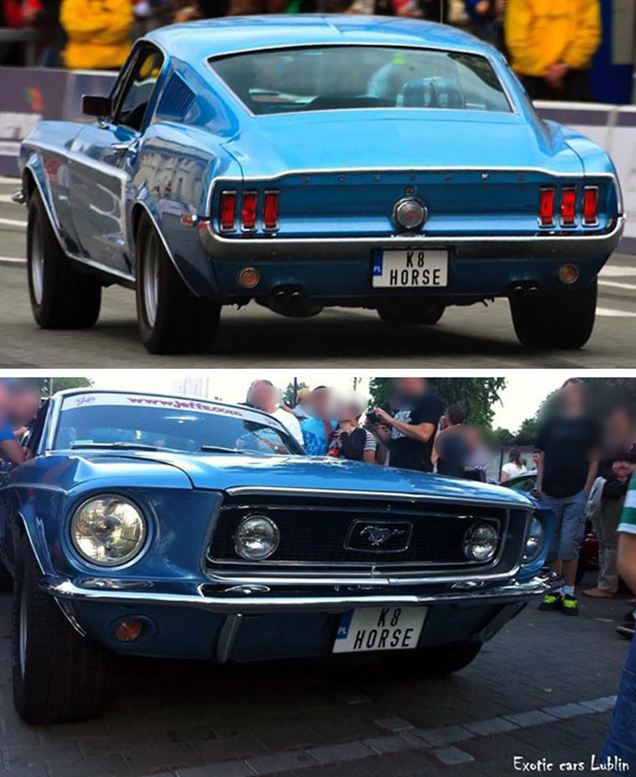 Fajny numer, blacha K8 HORSE