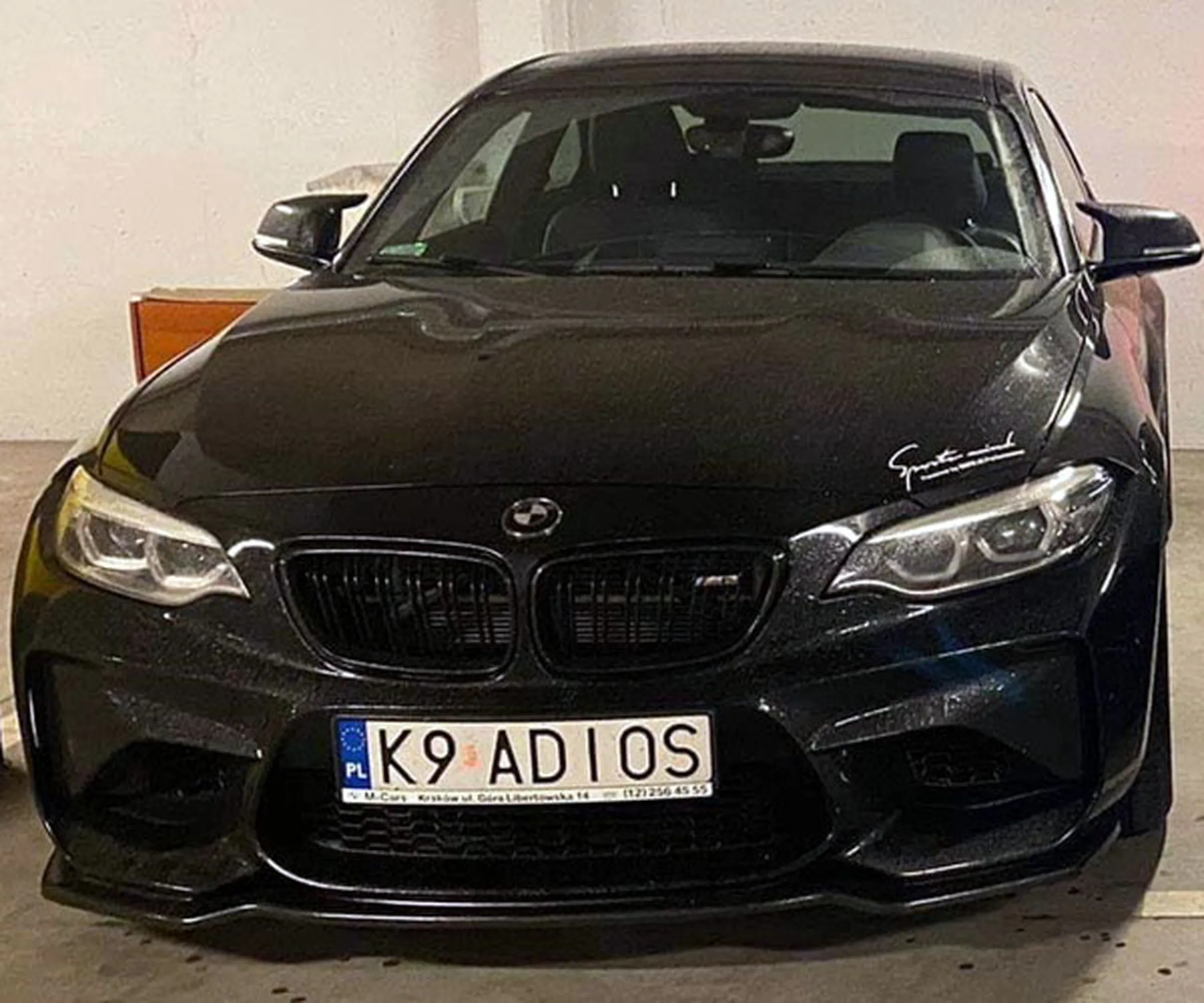 Fajny numer, blacha K9 ADIOS