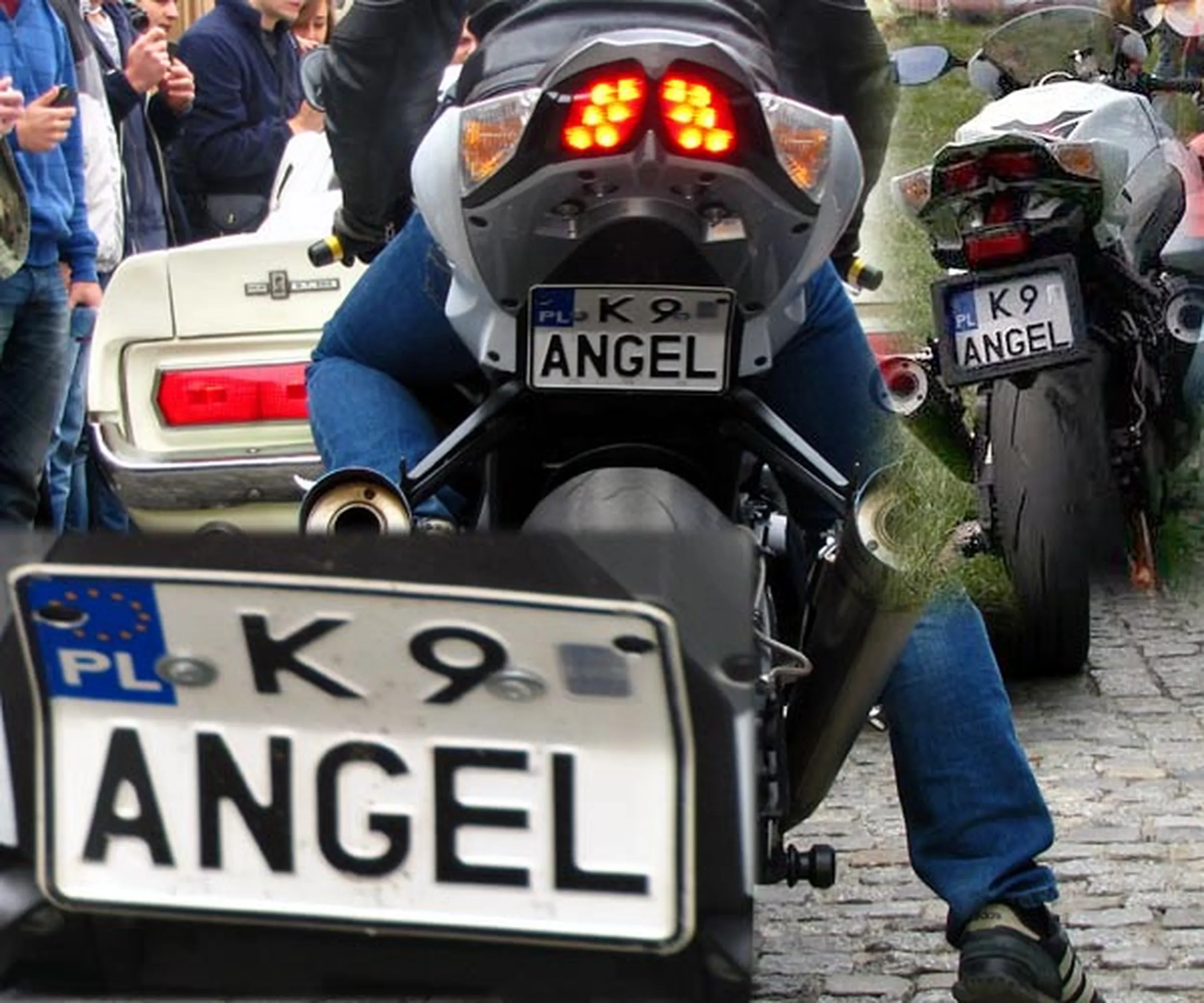 Fajny numer, blacha K9 ANGEL