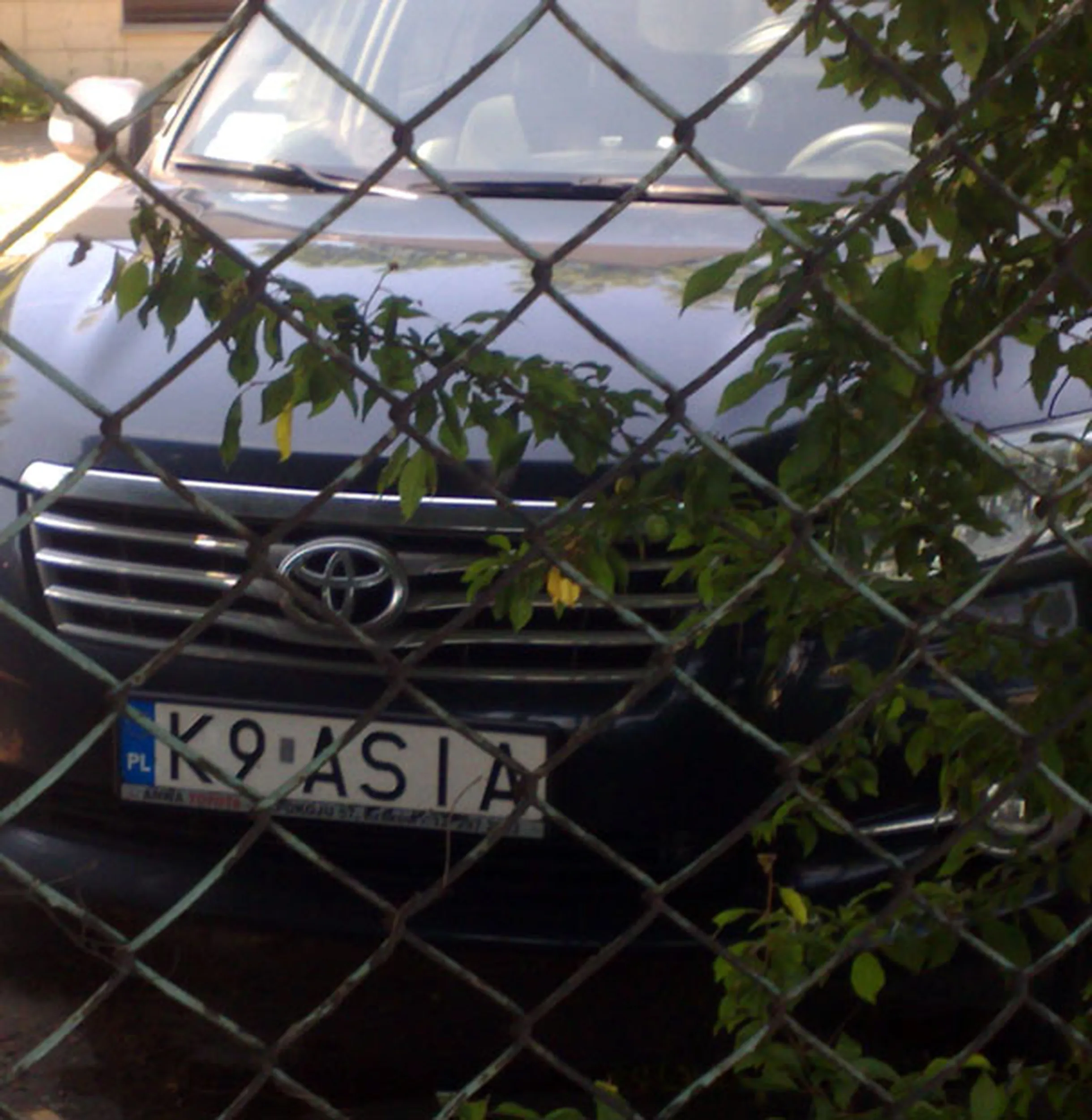 Fajny numer, blacha K9 ASIA