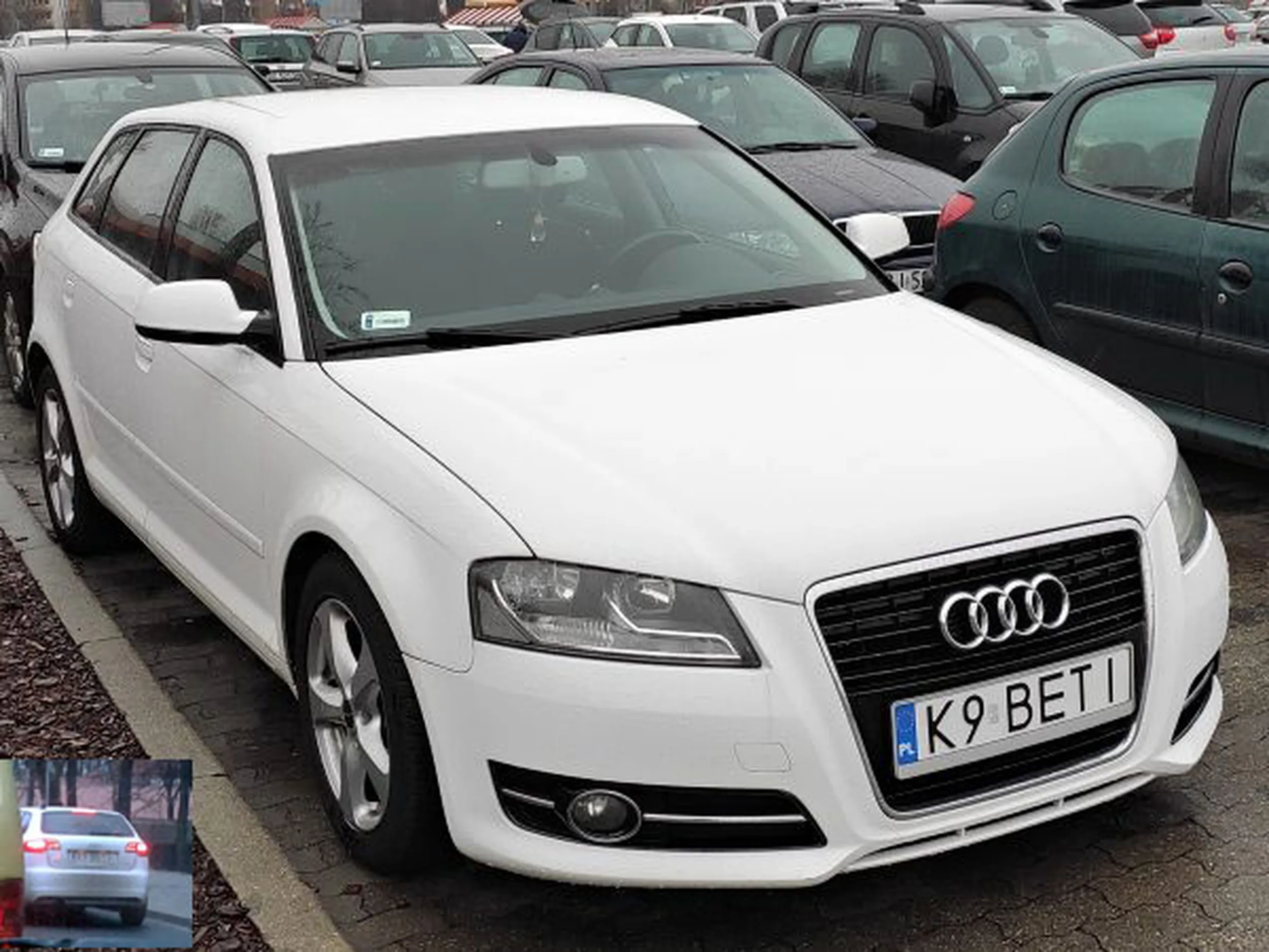 Fajny numer, blacha K9 BETI