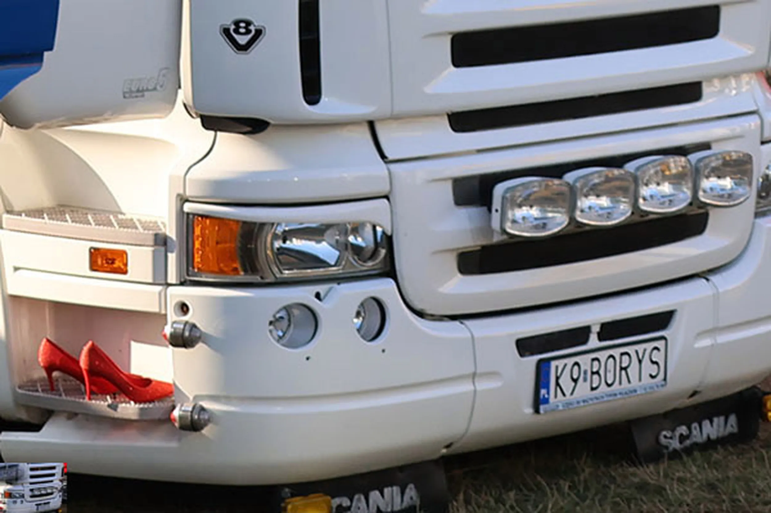 Fajny numer, blacha K9 BORYS