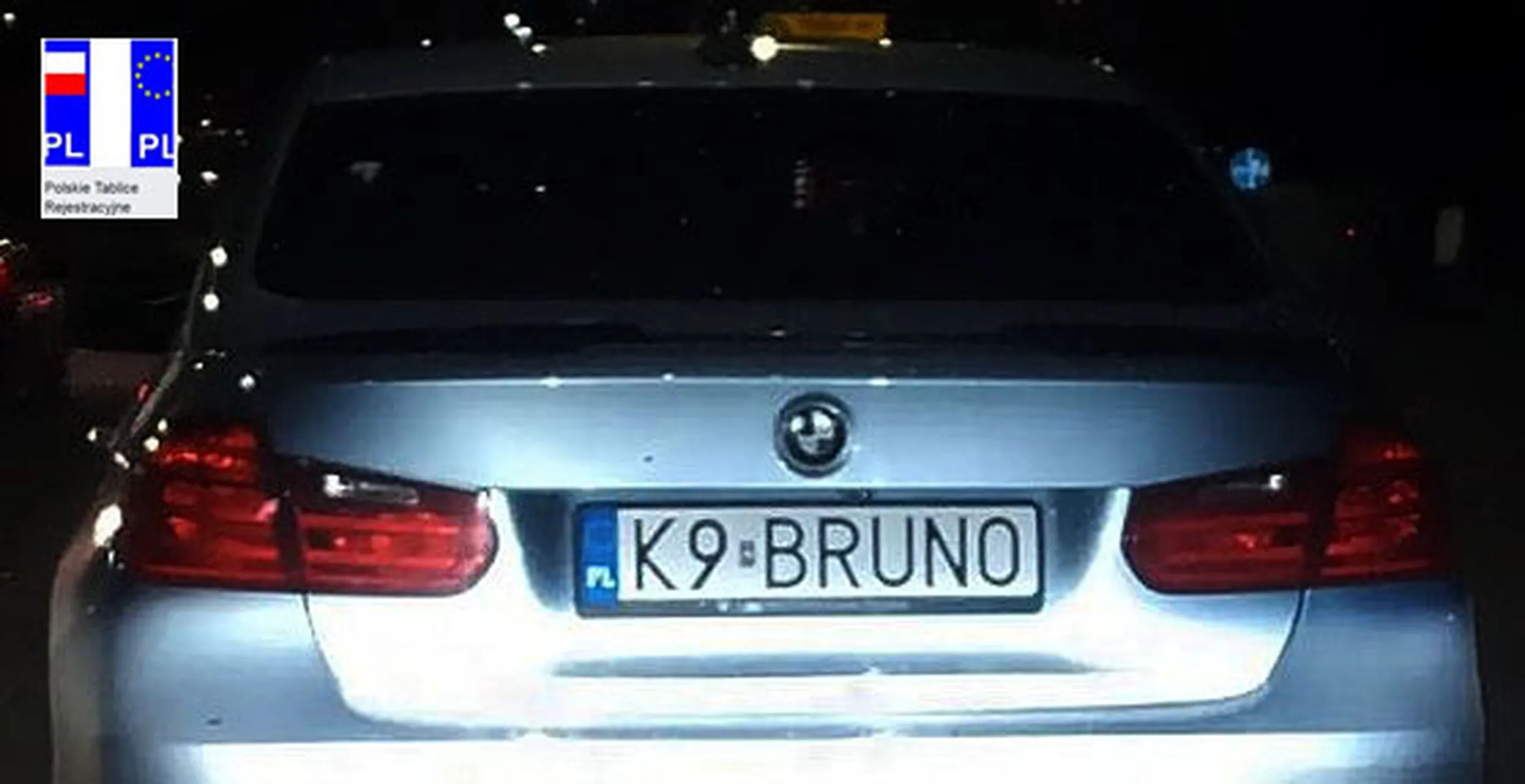 Fajny numer, blacha K9 BRUNO